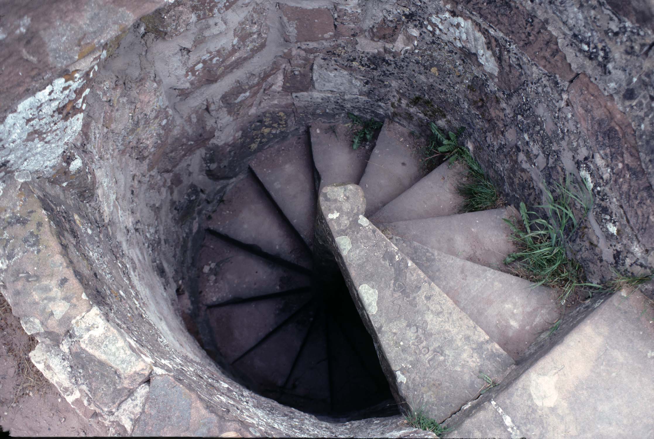 Vestiges du donjon : escalier à vis interne, vue plongeante