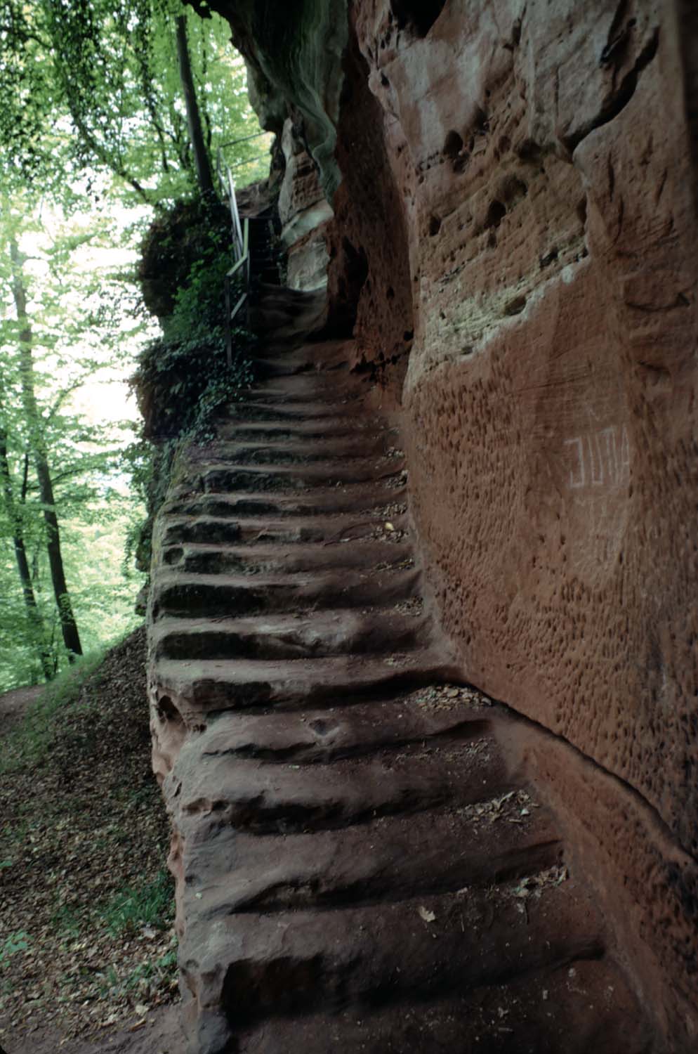 Escalier du 1er niveau