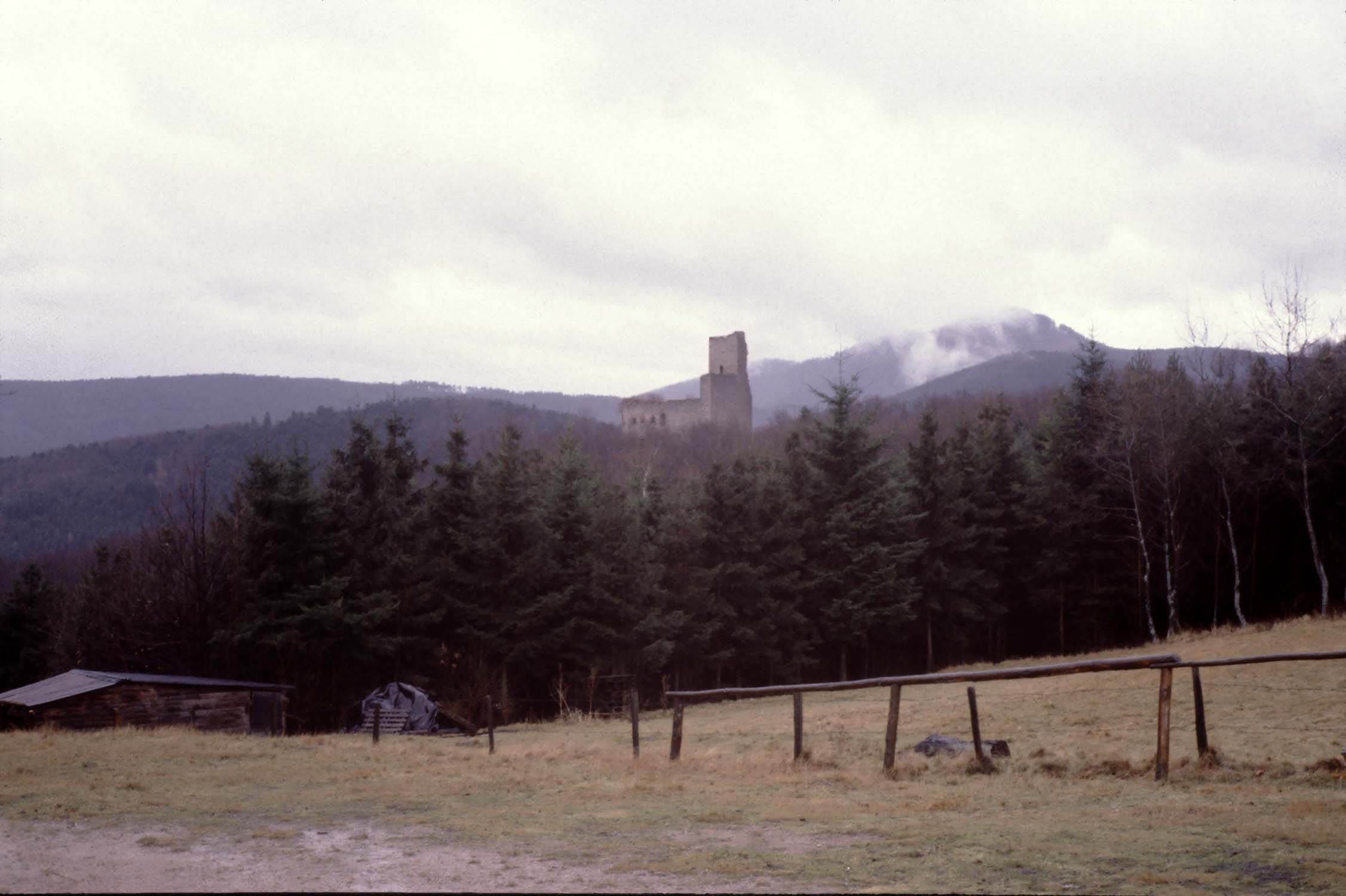 Vestiges du château, vue à distance depuis le Hungerplatz