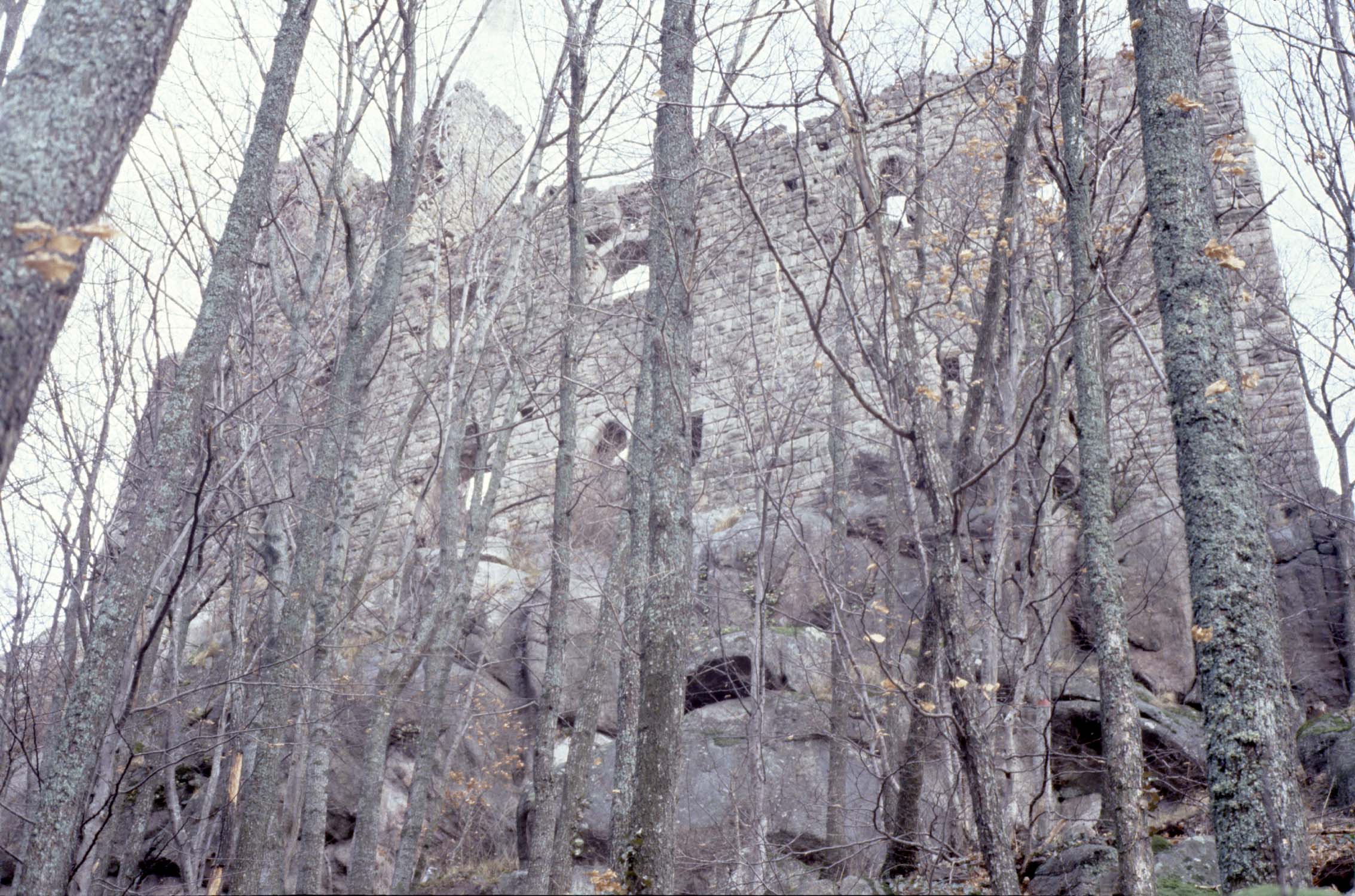 Vestiges de la façade sud à travers les arbres