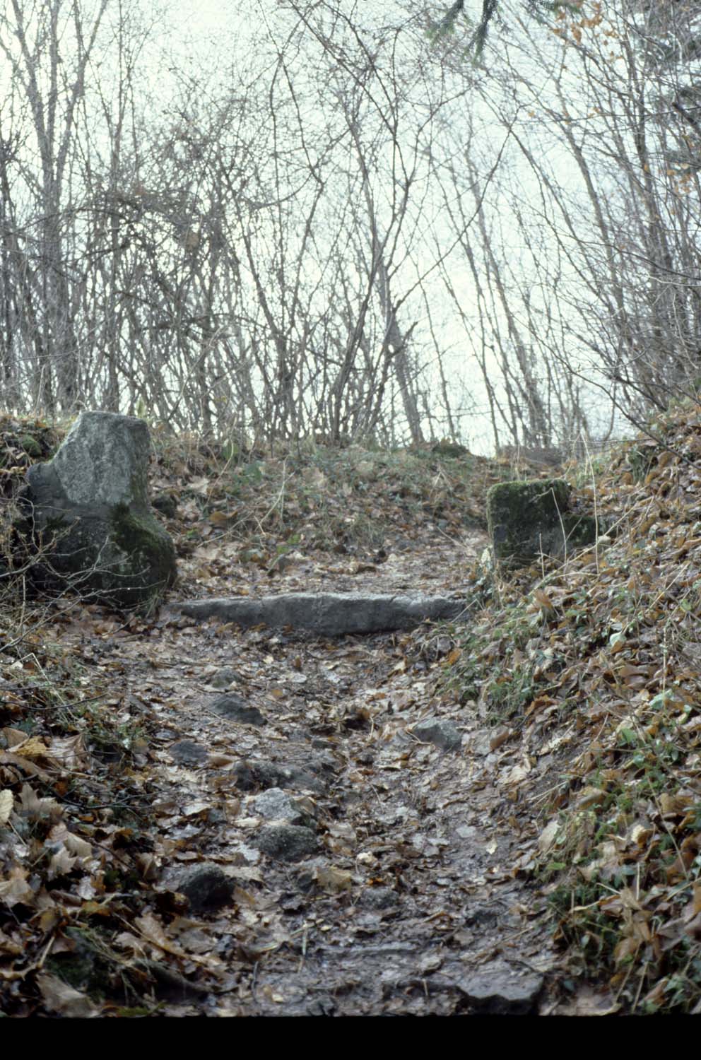 Vestiges du seuil de la porte de la basse-cour dans la végétation