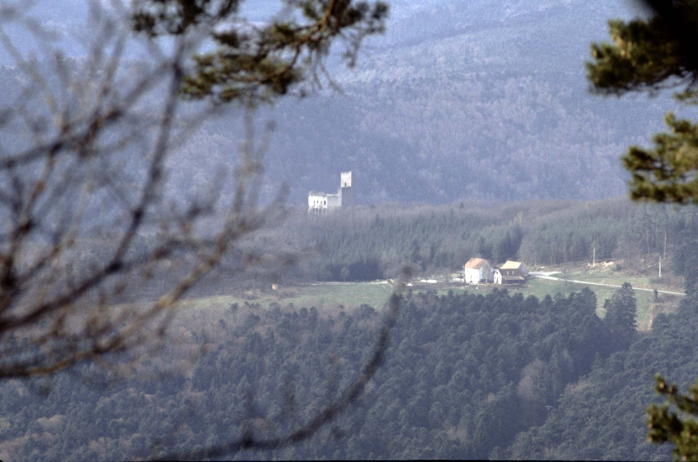 Château, vue à distance depuis le mont Sainte-Odile