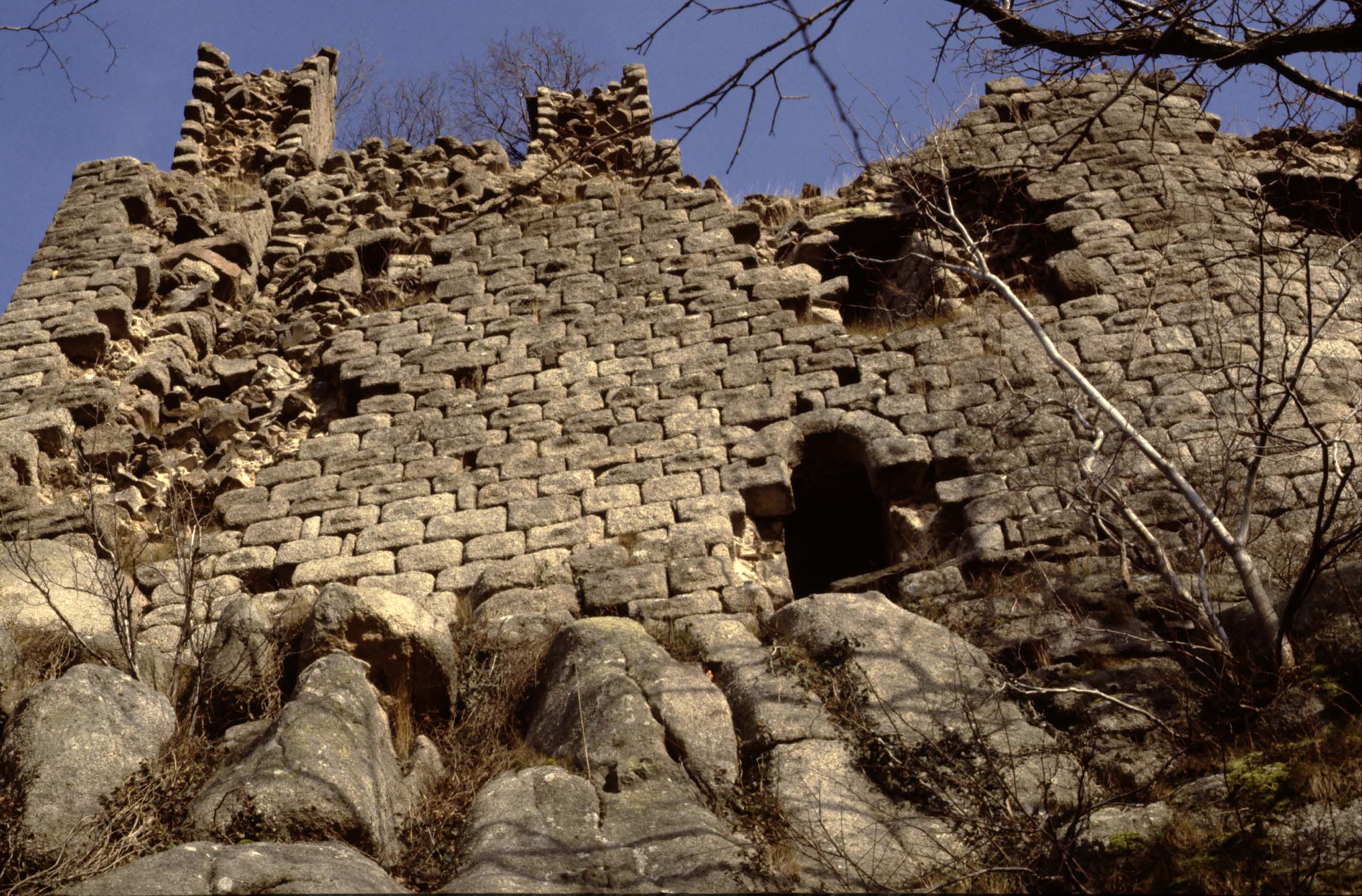 Vestiges de la face sud (rochers et arbres au 1er plan), vue en contre-plongée