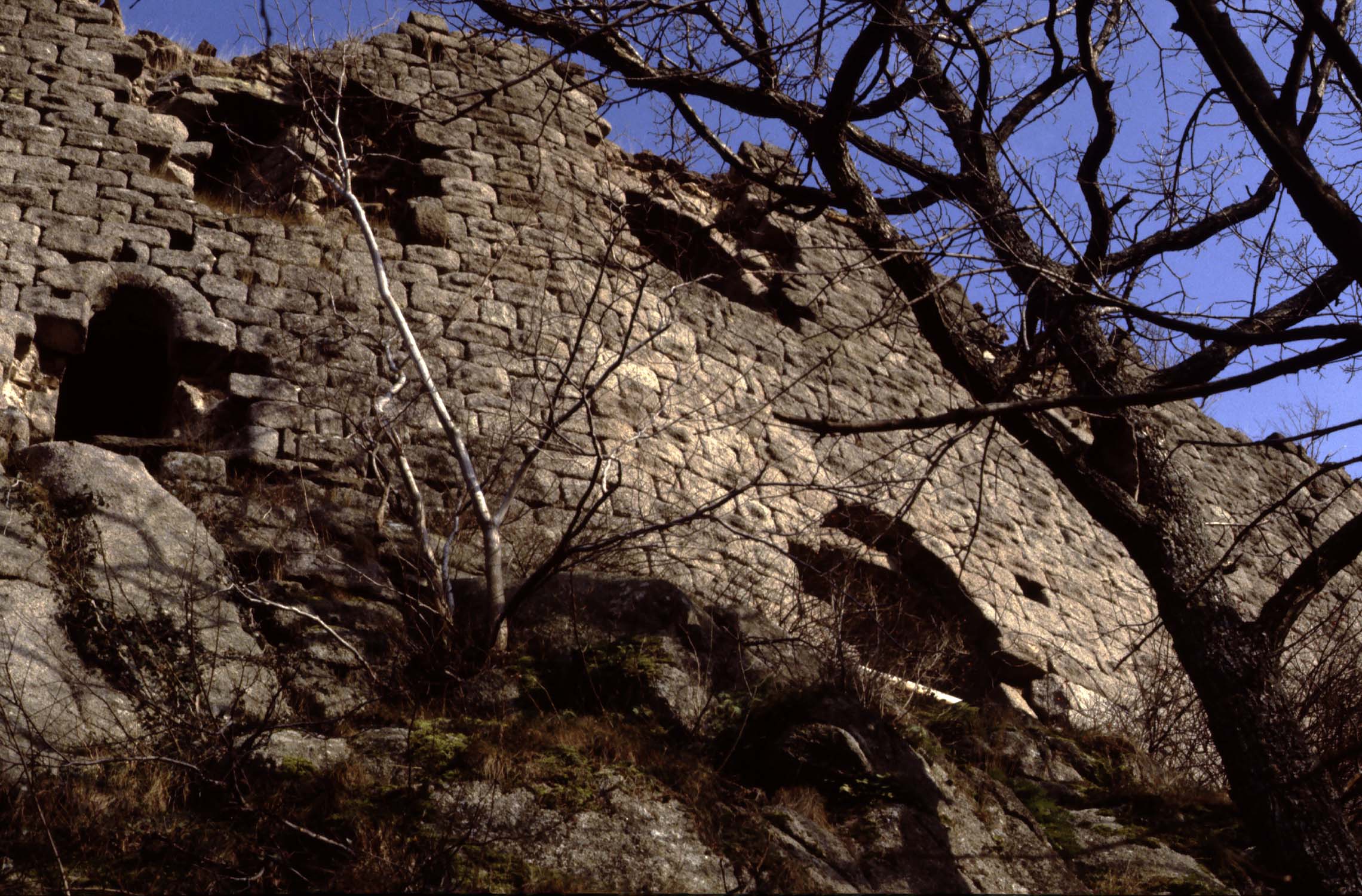 Vestiges de la face sud (rochers et arbres au 1er plan), vue en contre-plongée