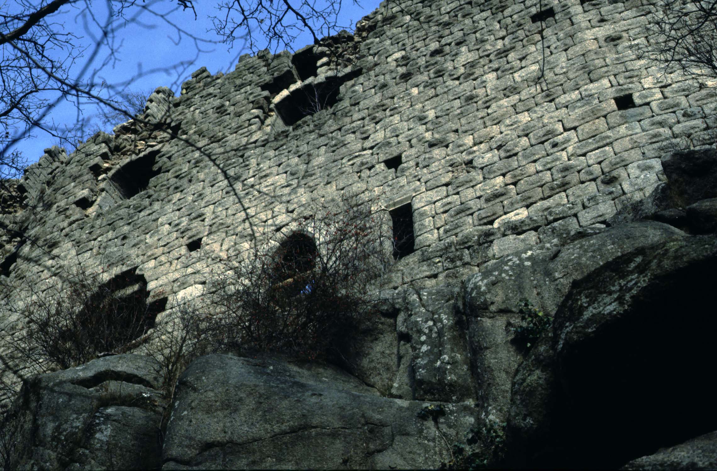 Vestiges de la face sud (rochers et végétation au 1er plan), vue en contre-plongée