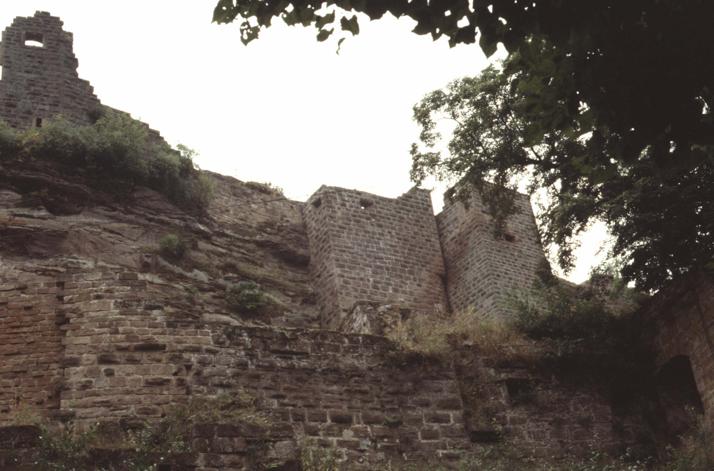 Vestiges de la courtine et du palas, vue générale