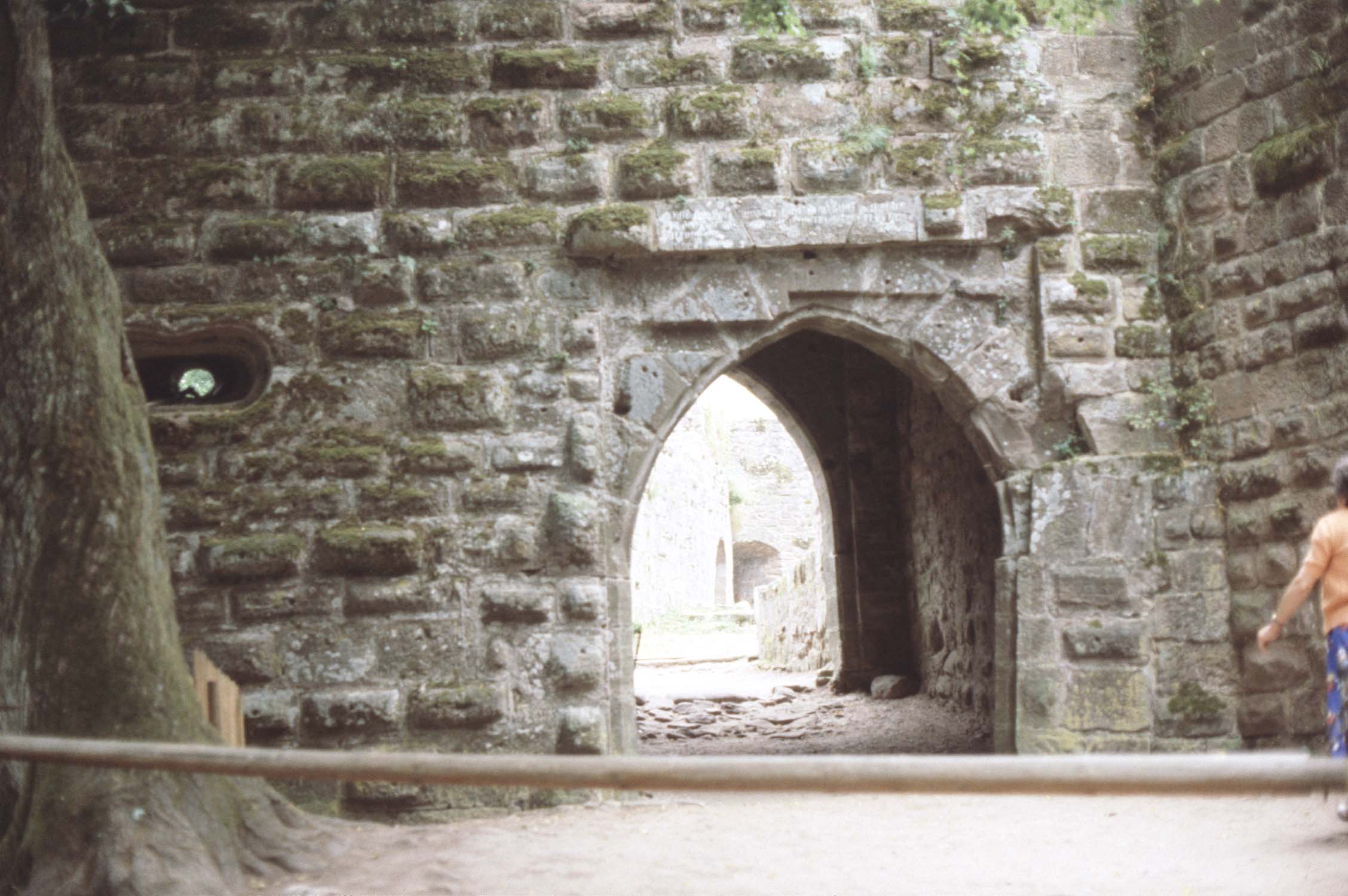 Porte d'entrée couverte de la basse-cour