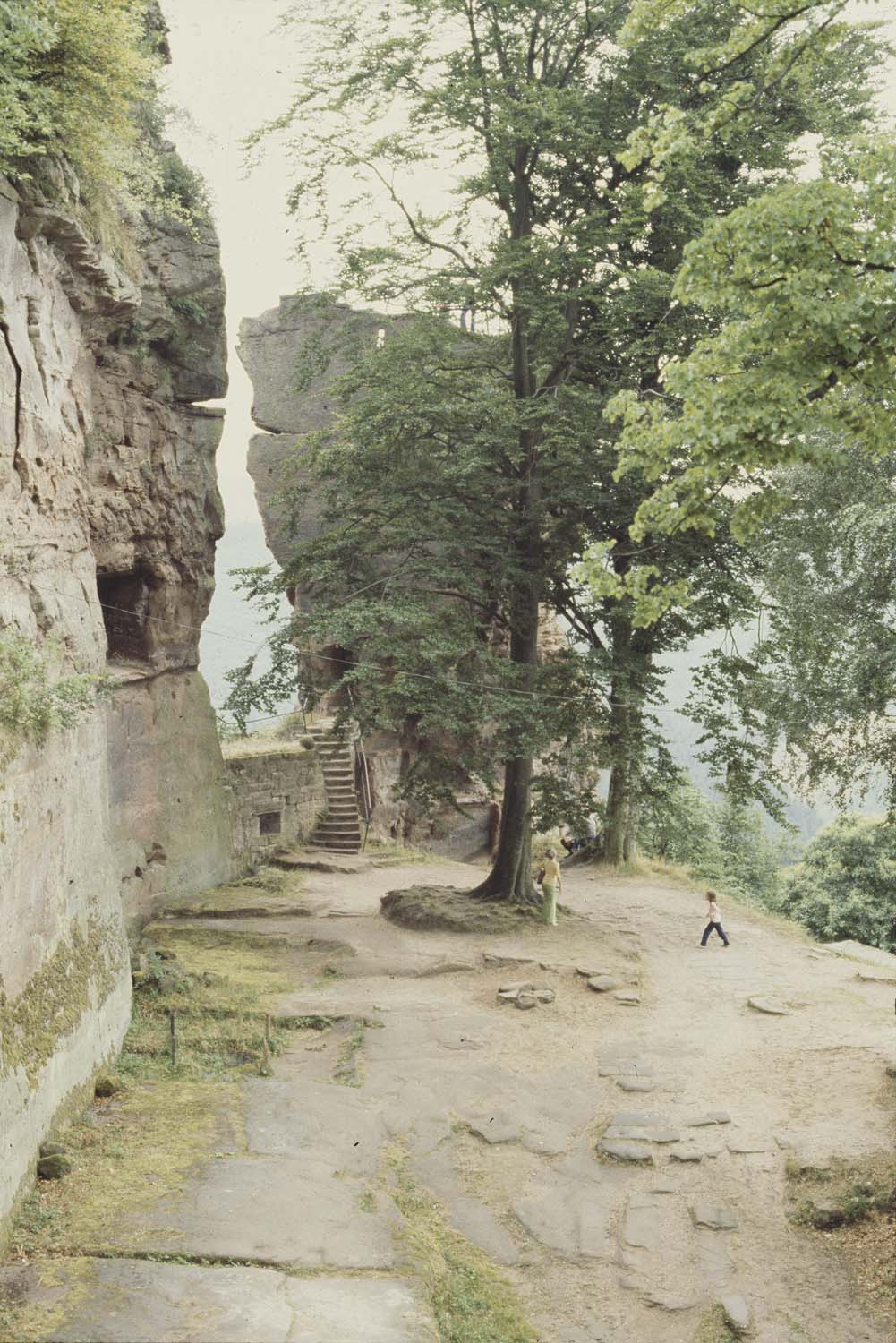 Vestiges de la basse-cour et de la tour, vue générale