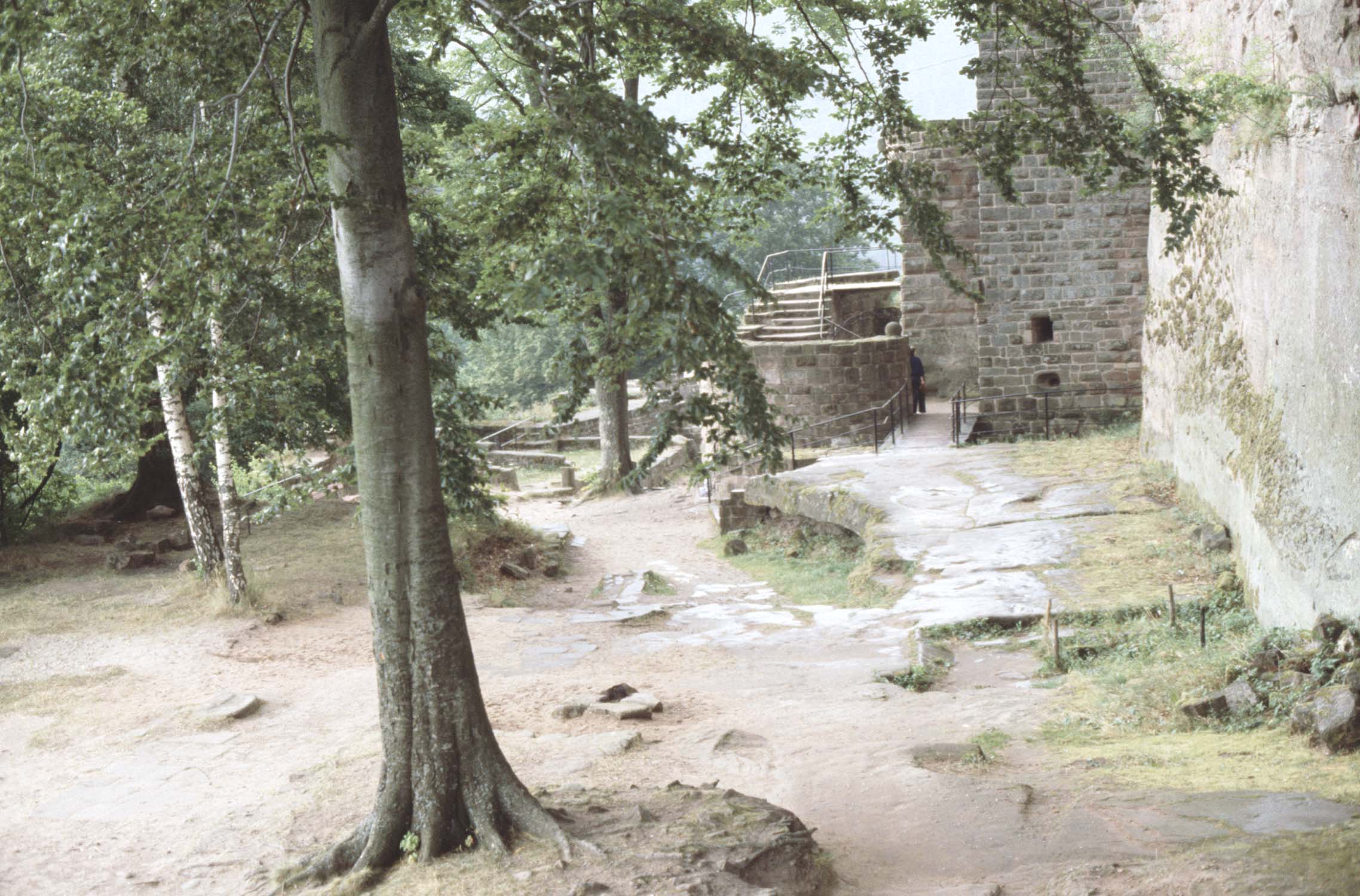 Vestiges de la basse-cour et de la tour, vue partielle