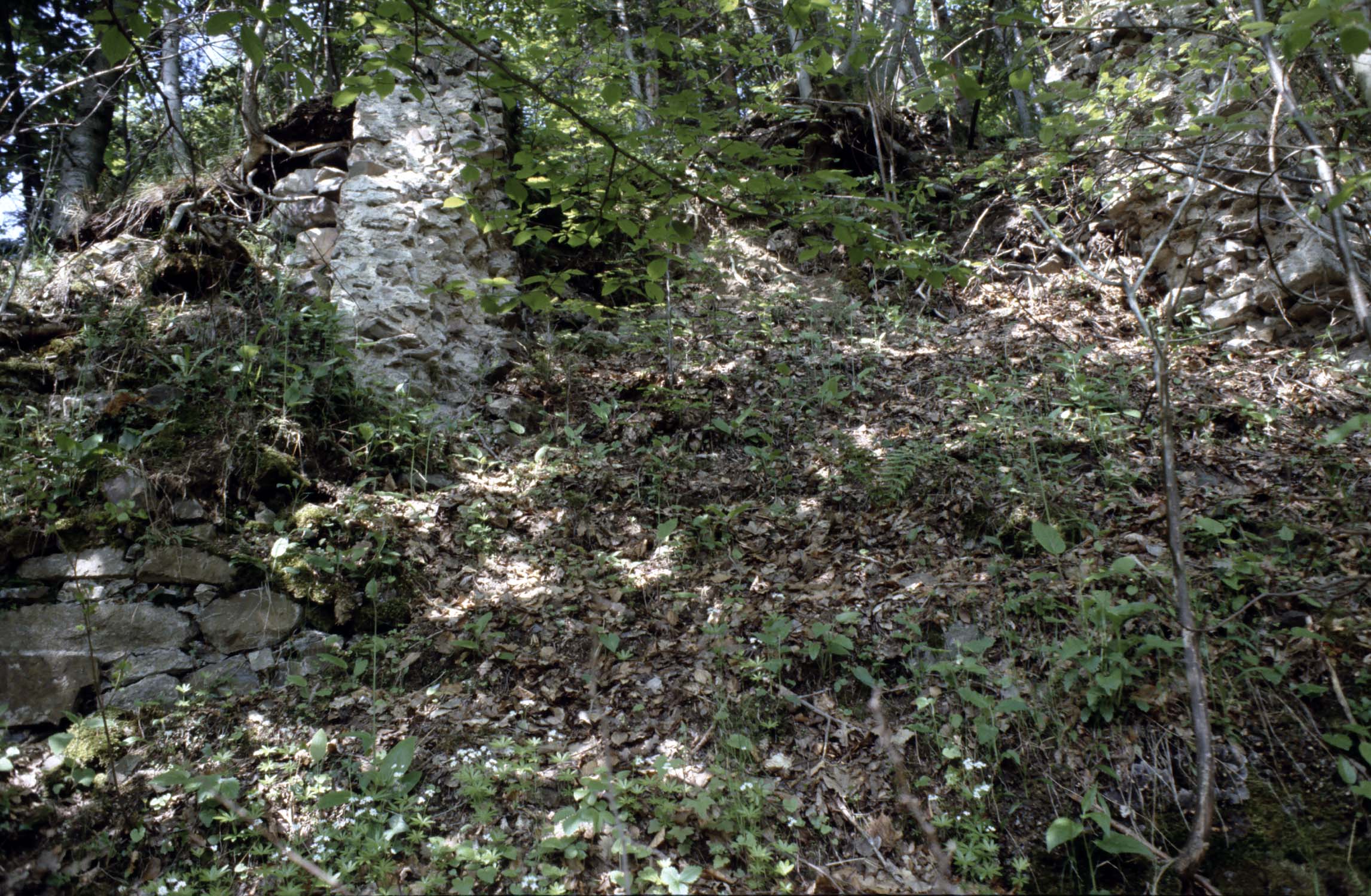 Vestiges de porte dans la forêt, vue générale de l'extérieur