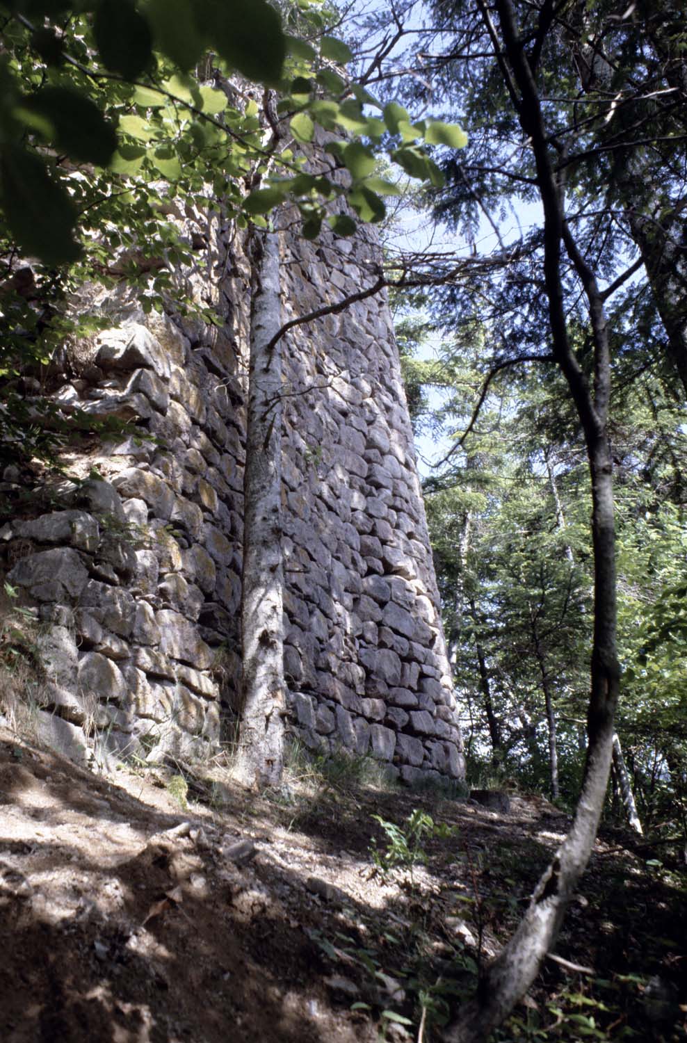 Bastion concave, vue partielle nord derrière les arbres
