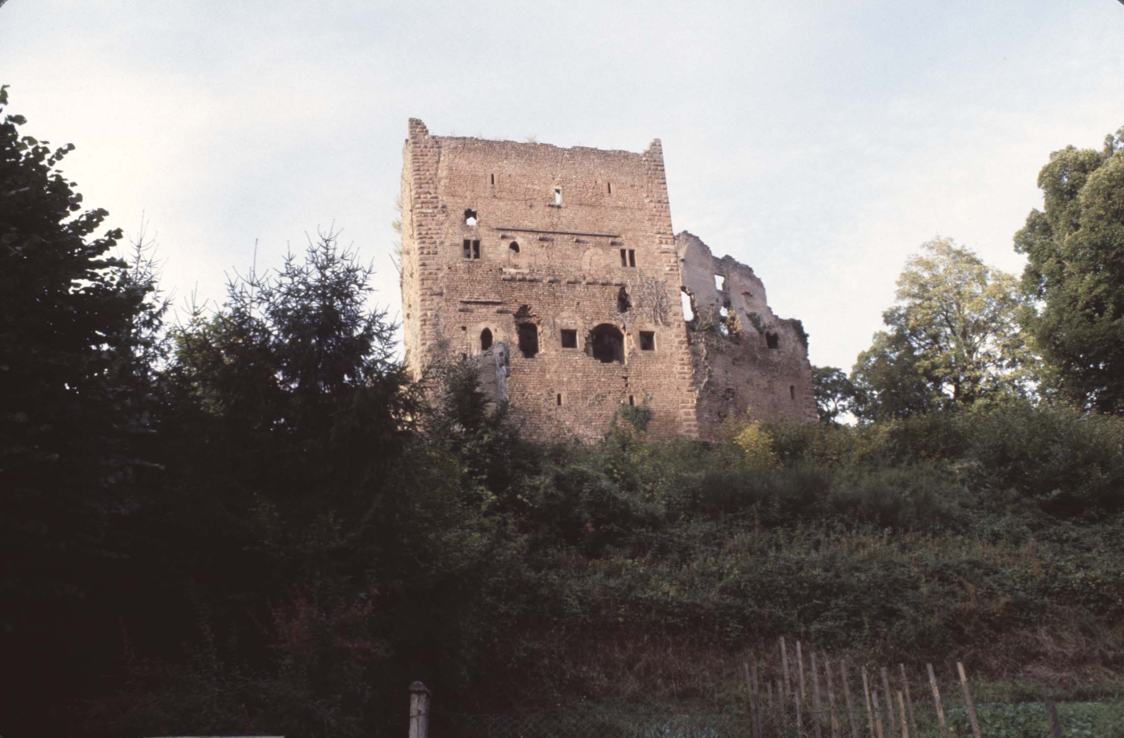 Vestiges du château, vue générale depuis la route