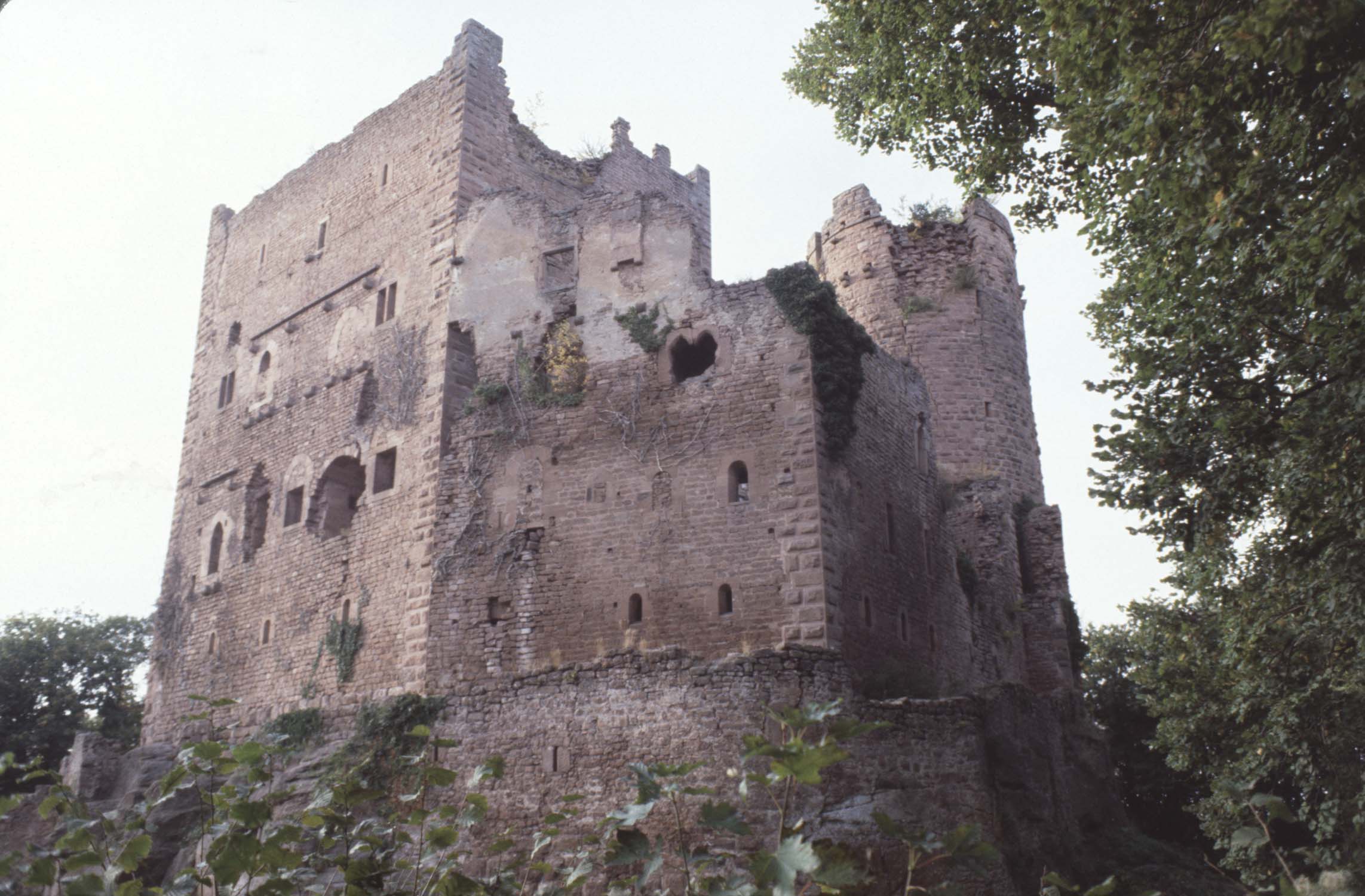 Vestiges du château, vue sud-ouest