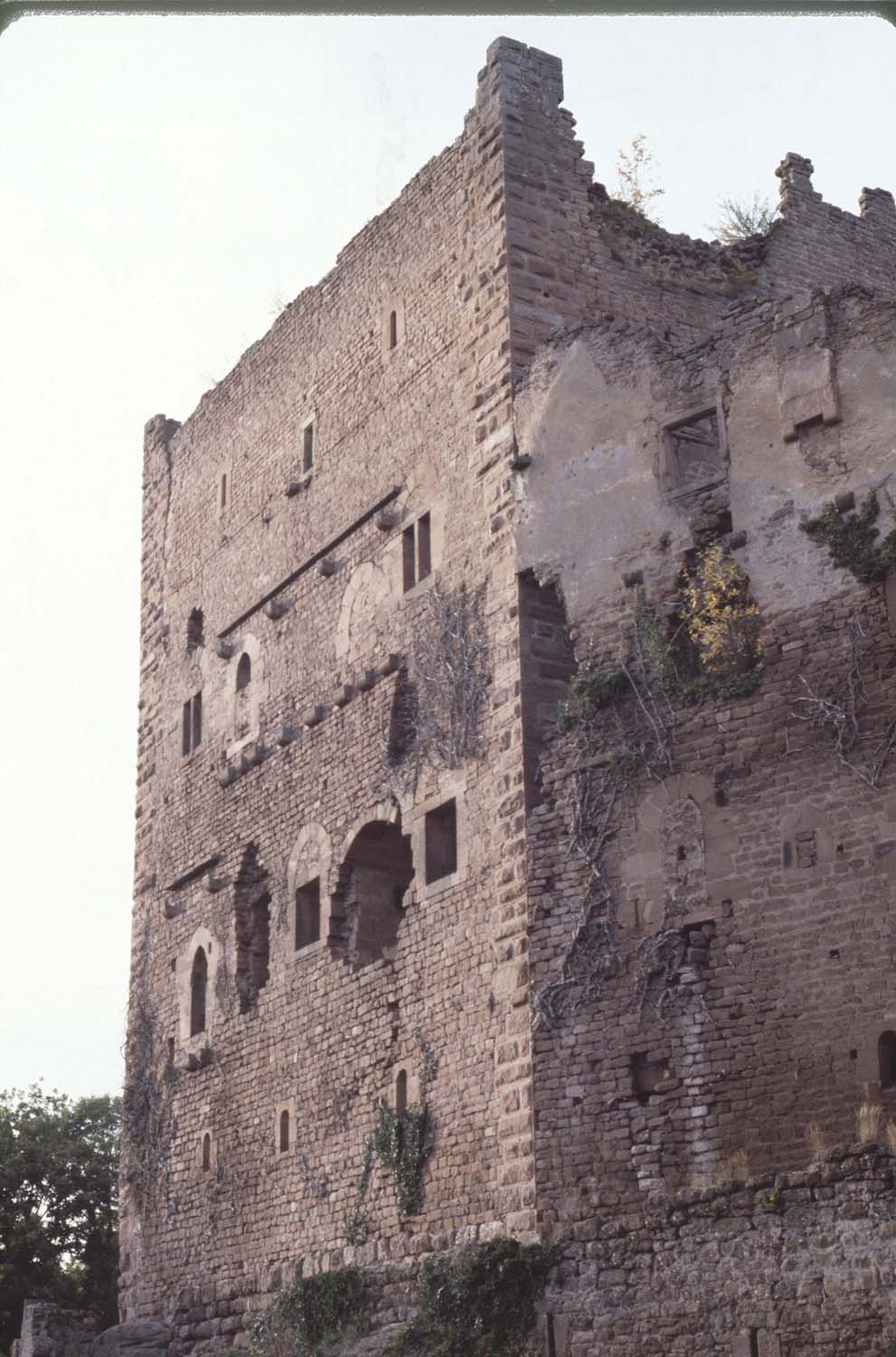 Vestiges du château, vue latérale ouest