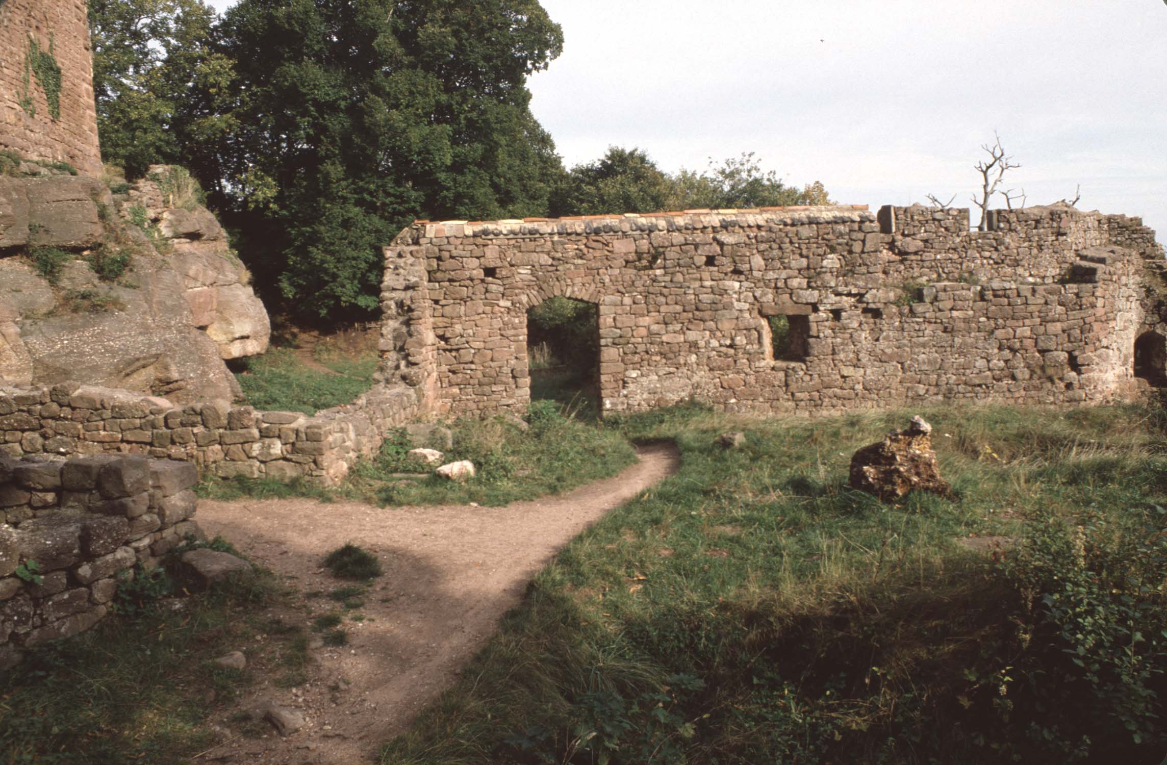 Vestiges de la barbacane, vue d'ensemble