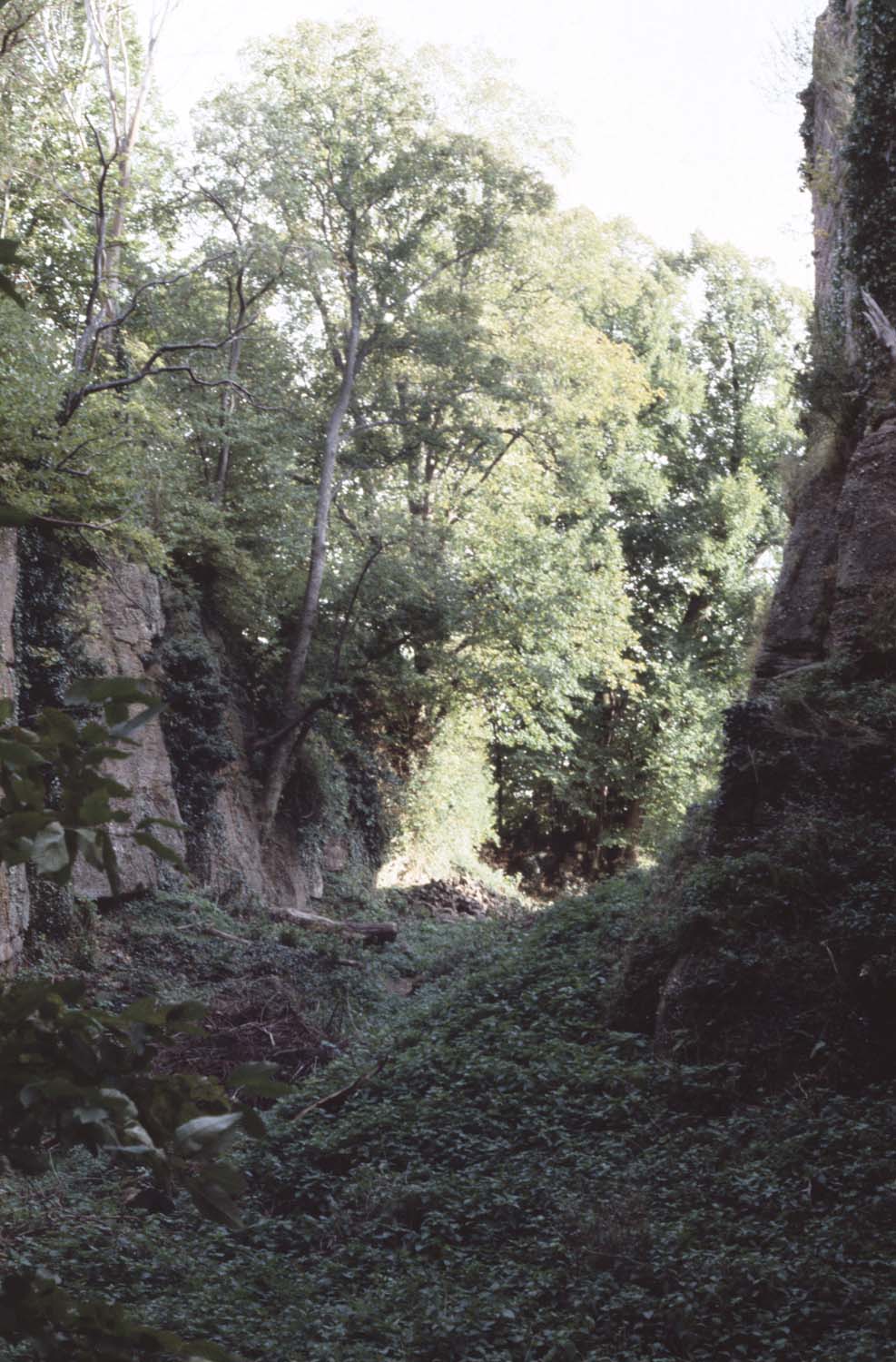 Fossé est, vue générale