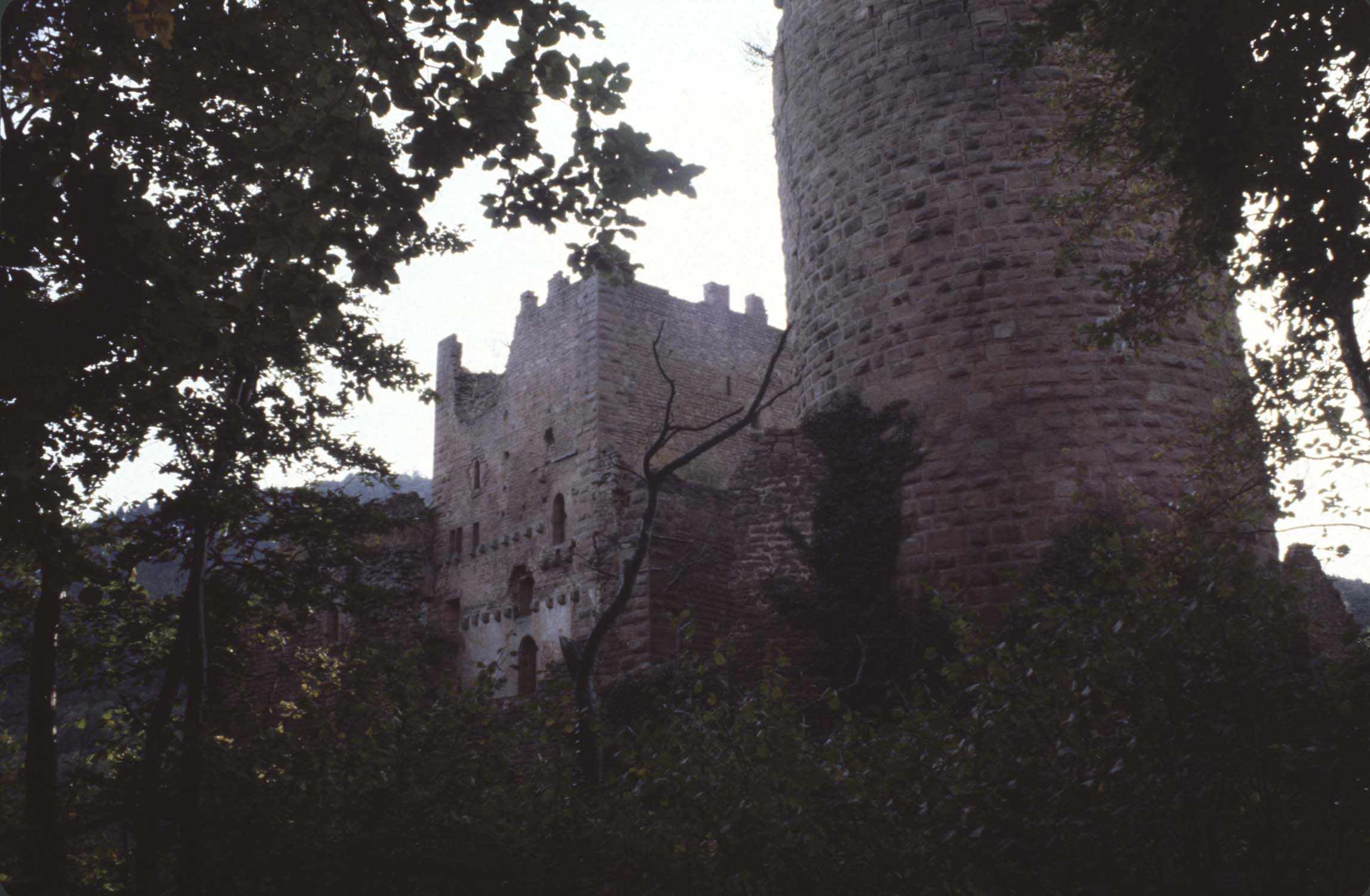 Donjon et tour côté sud, vue d'ensemble à distance à travers les arbres