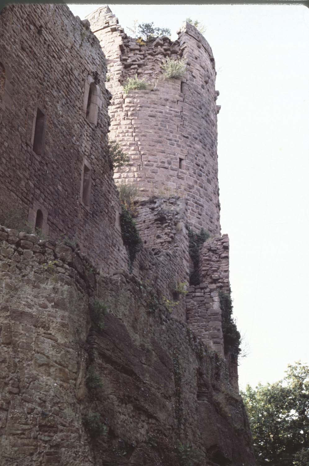 Donjon et mur sud