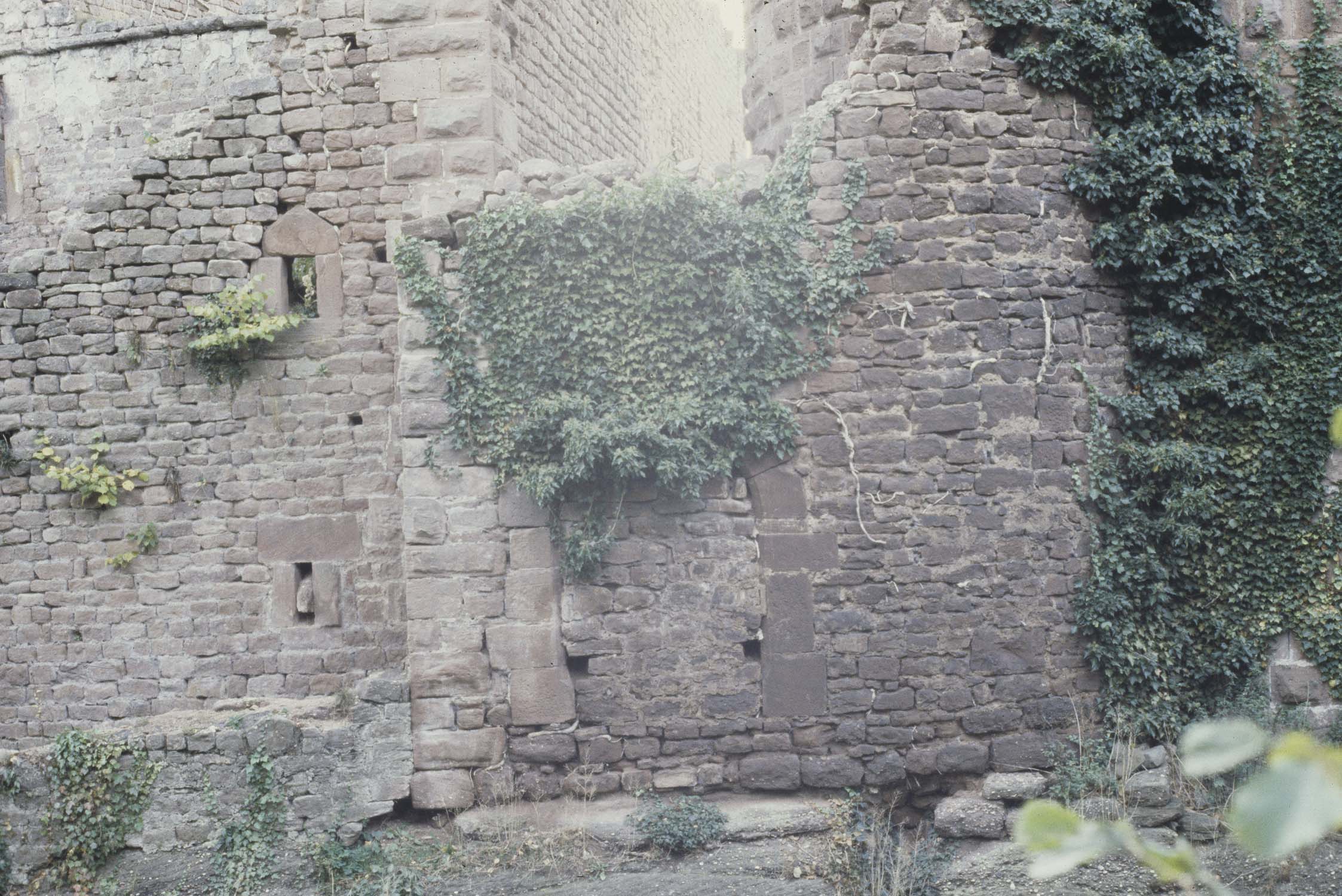 Ancienne porte Est murée et recouverte de lierre