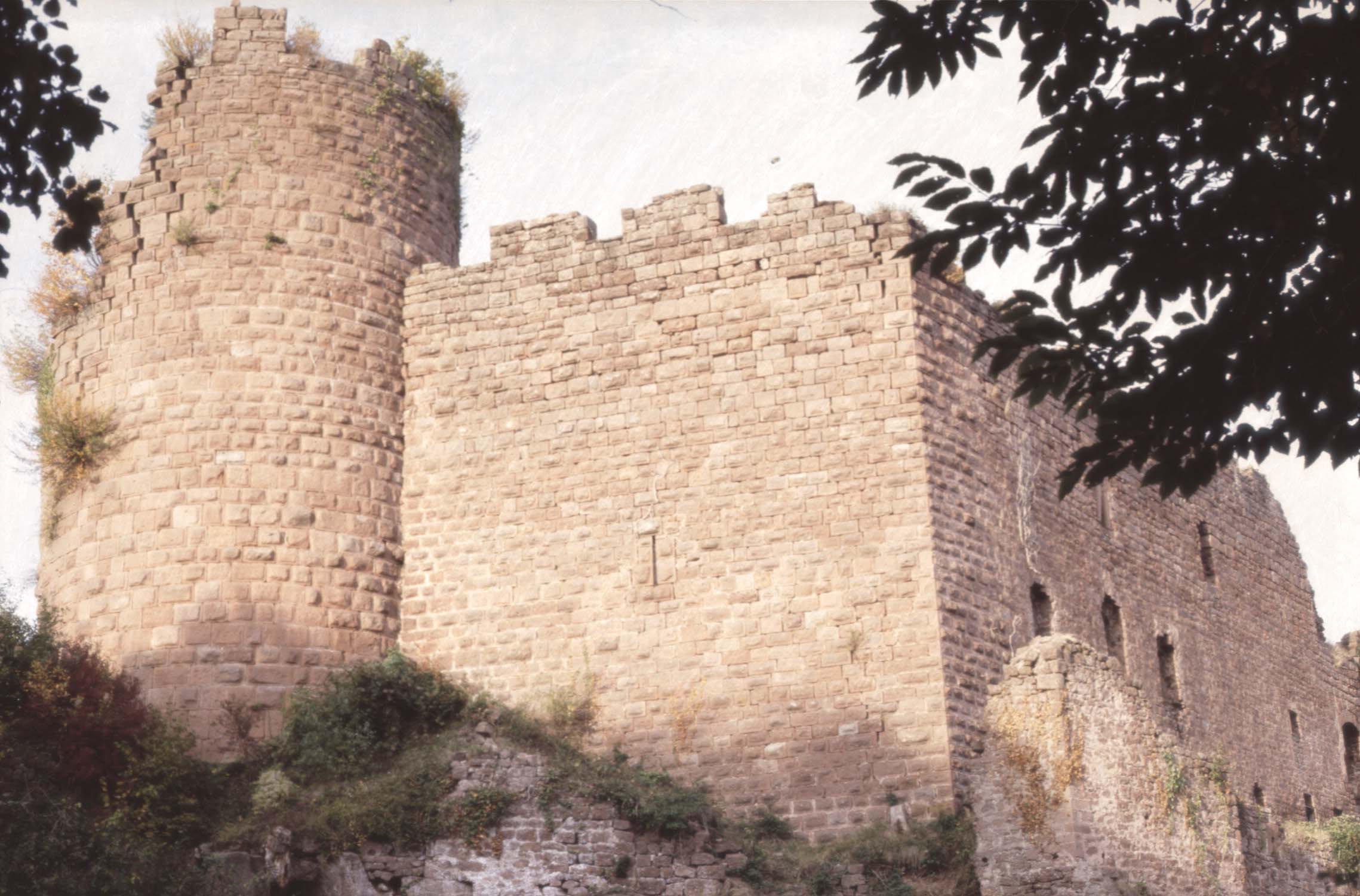 Château, vue générale depuis l'accès