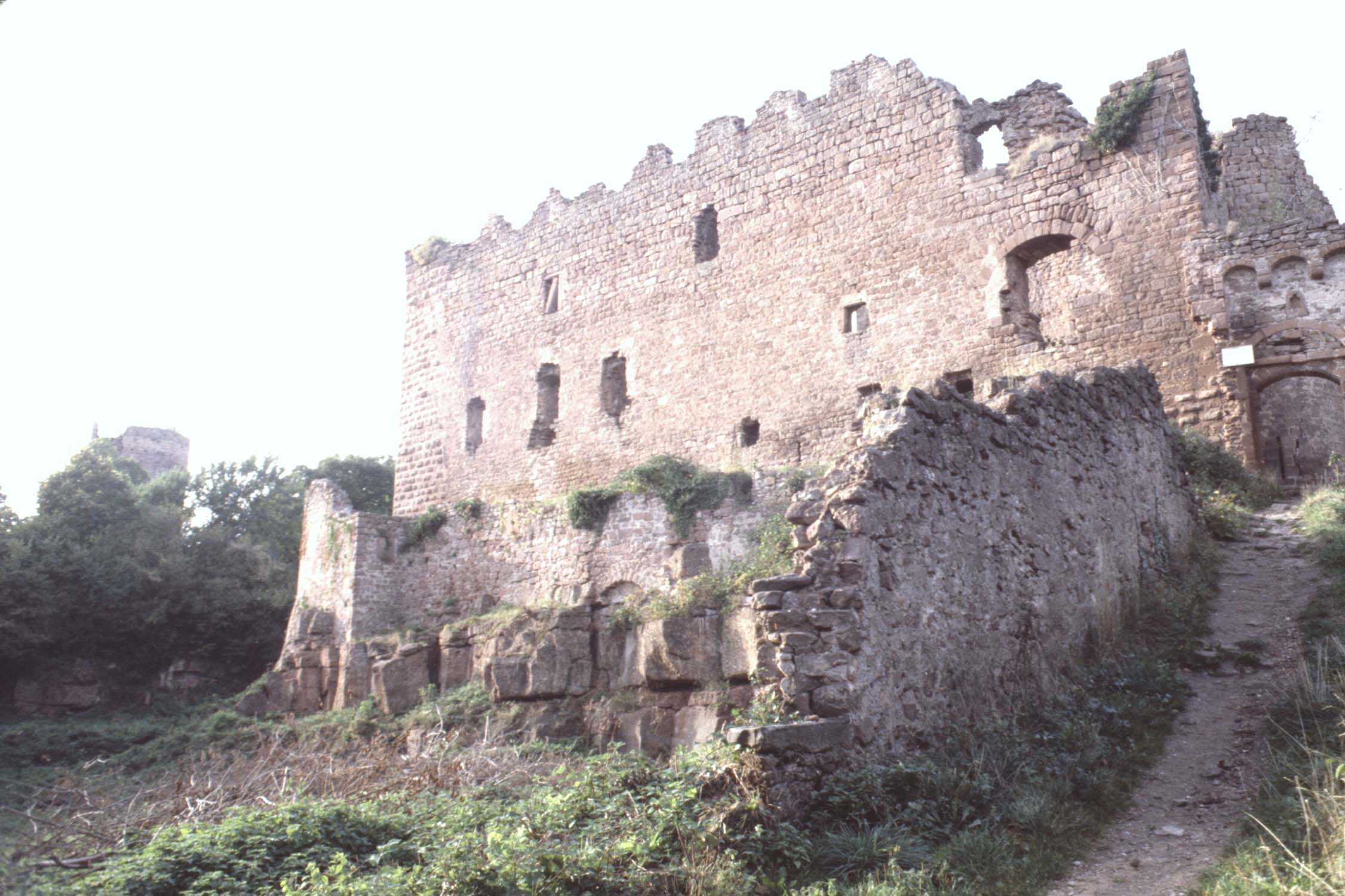 Vestiges du château, vue générale depuis l'accès