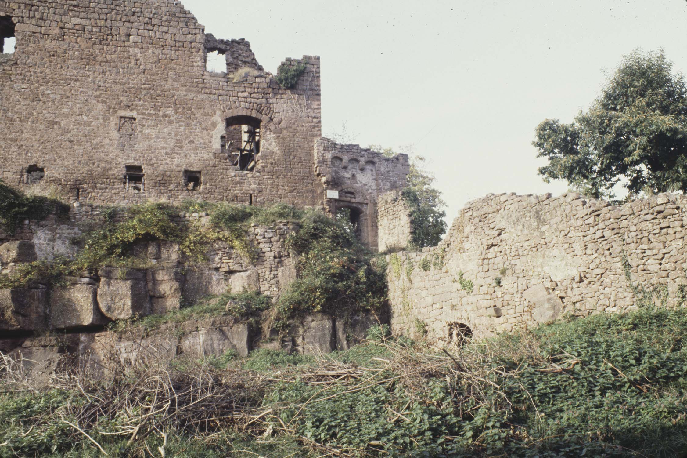 Vestiges du château : porte, vue d'ensemble