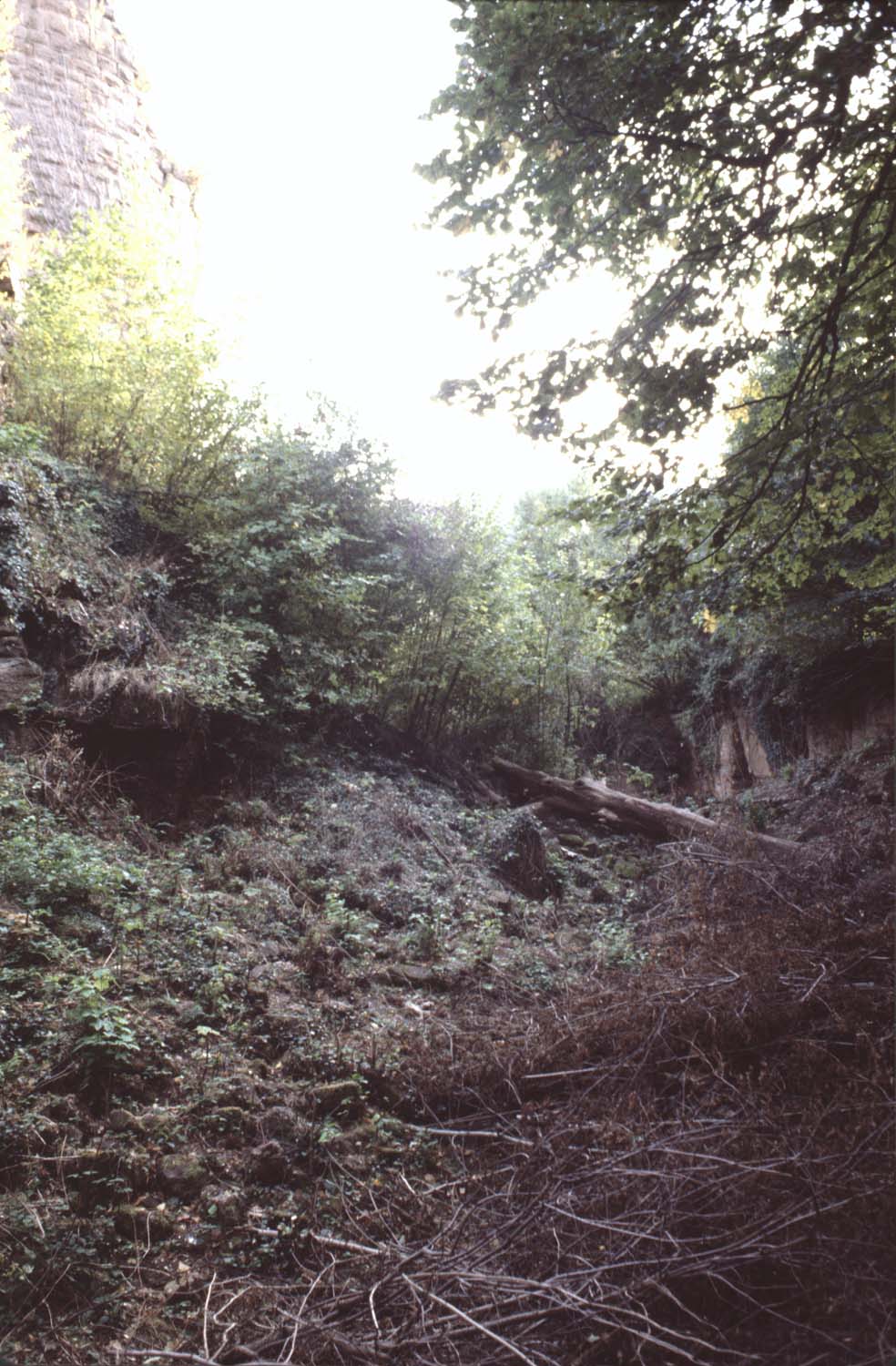 Emplacement du fossé ouest