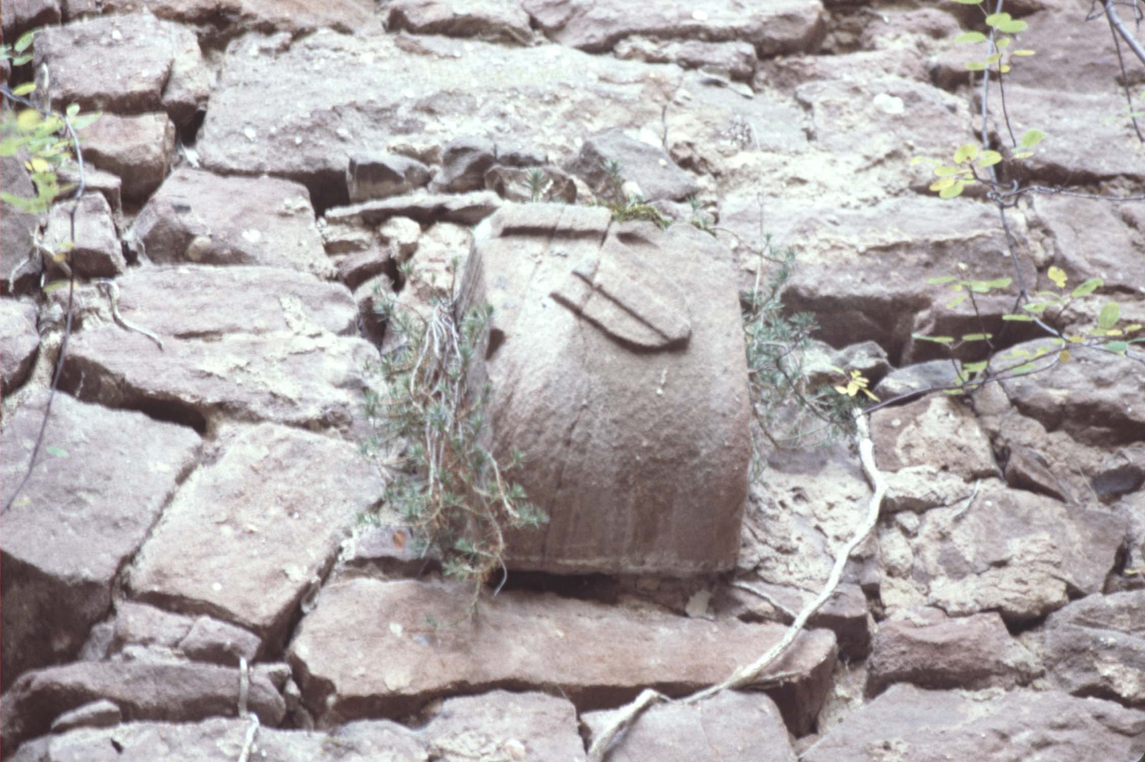 Corbeau avec blason sculpté, détail