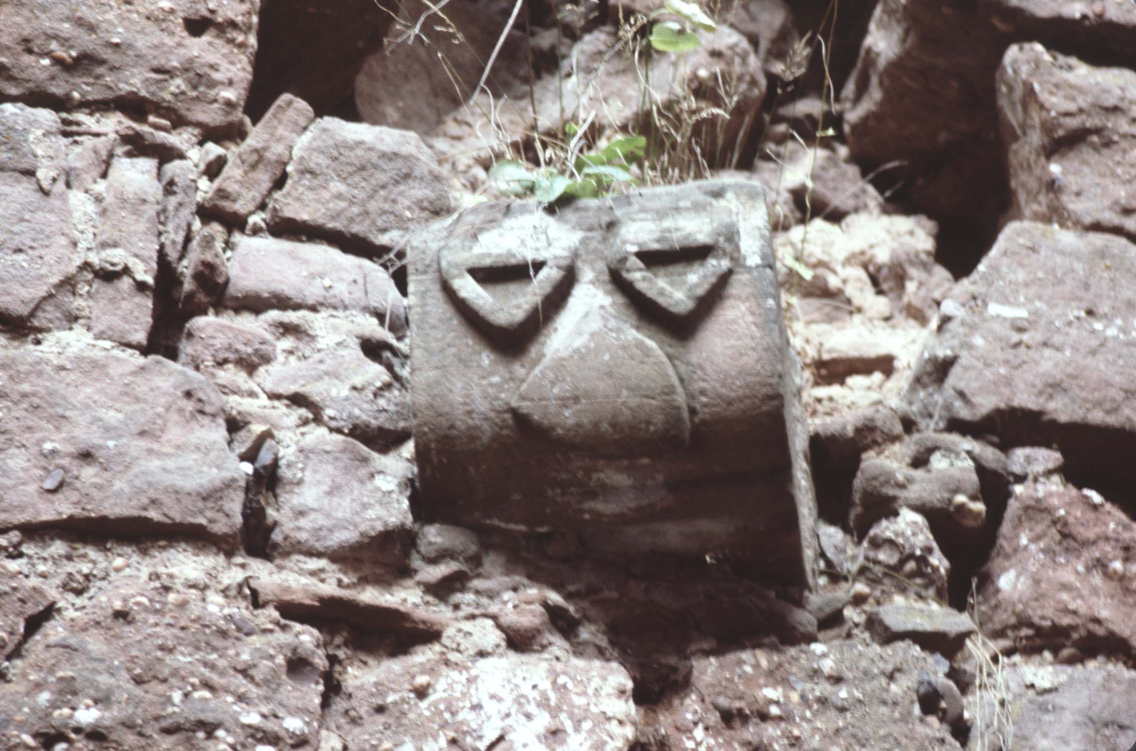 Corbeau avec blasons sculptés, détail