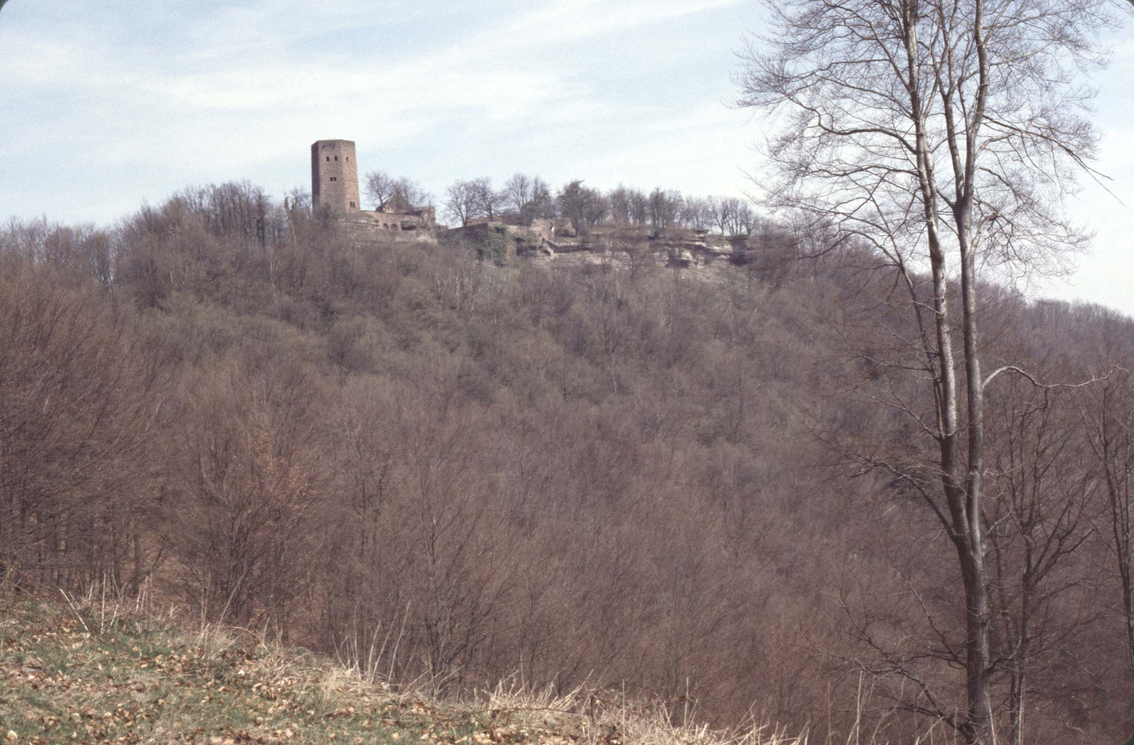 Château, vue à distance