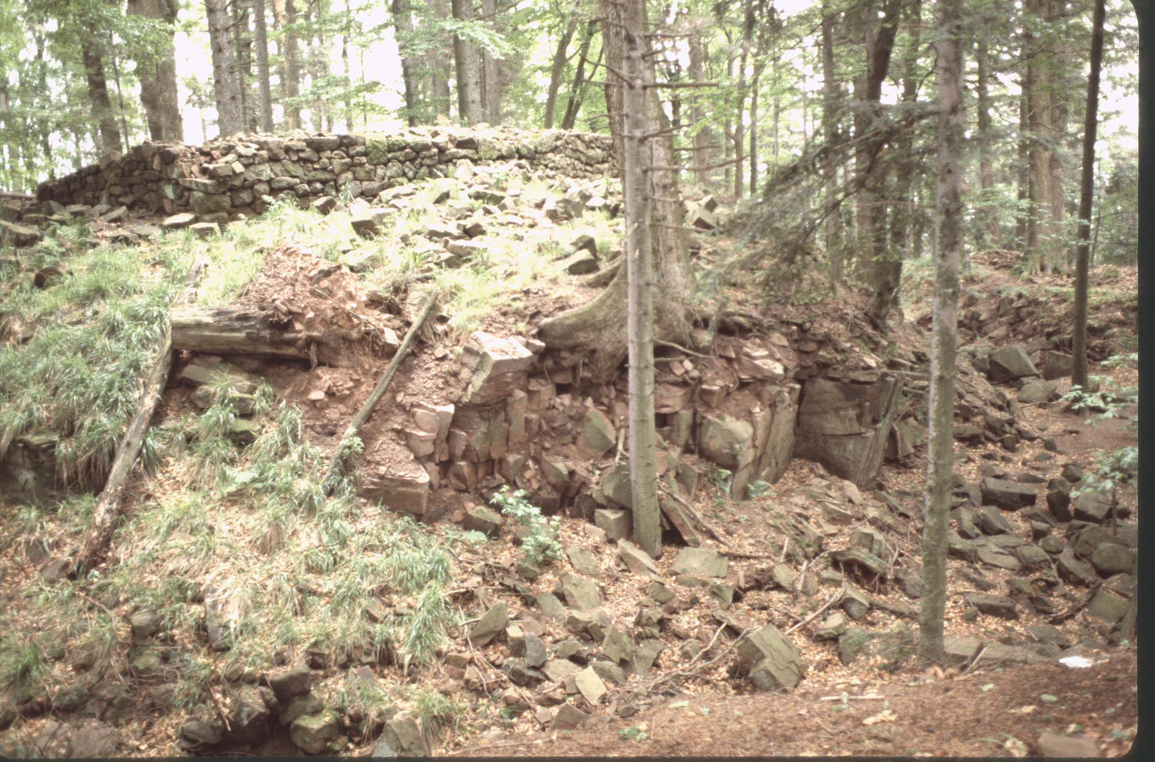 Vestiges du fossé : murs et éboulis au milieu de la forêt
