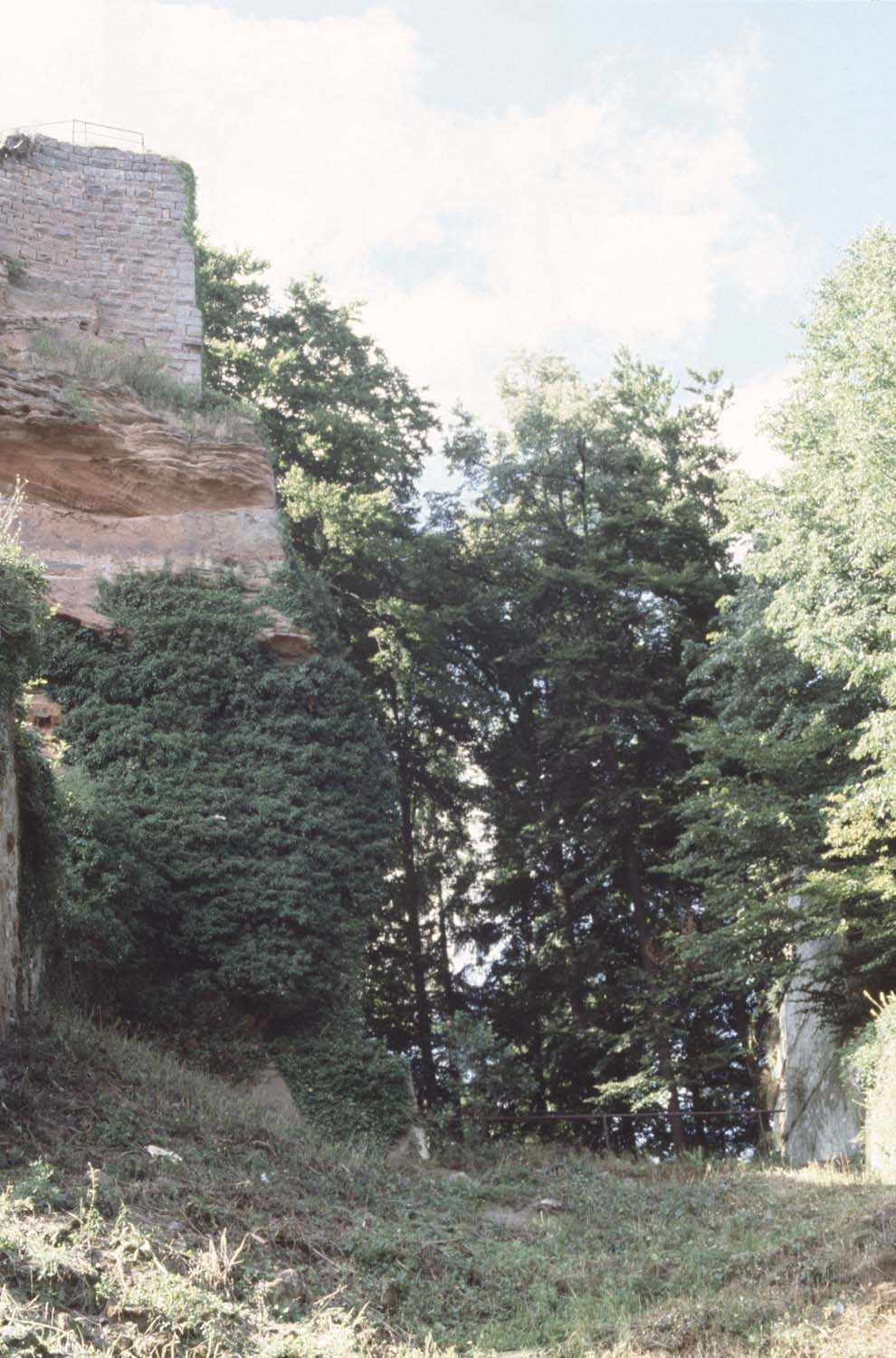 Vestiges du donjon et fossé, vue d'ensemble