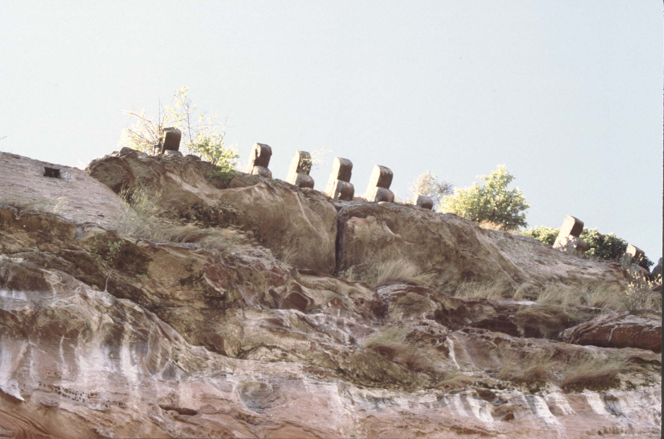 Corbeaux, vue en contre-plongée