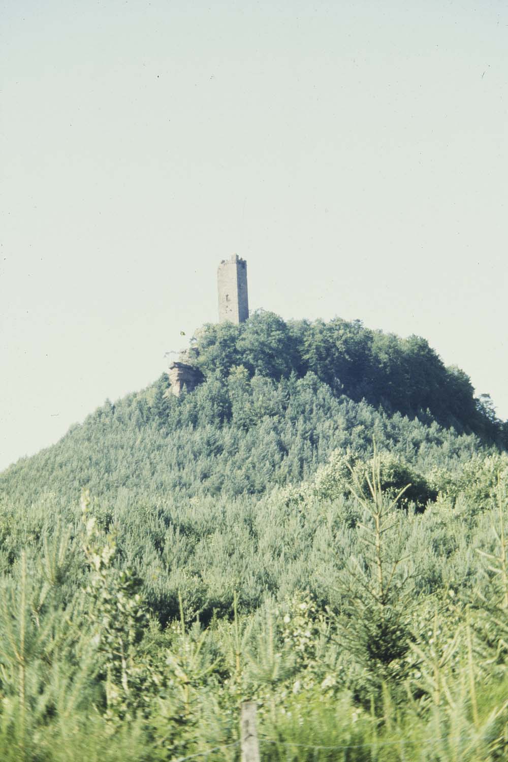 Château, vue à distance