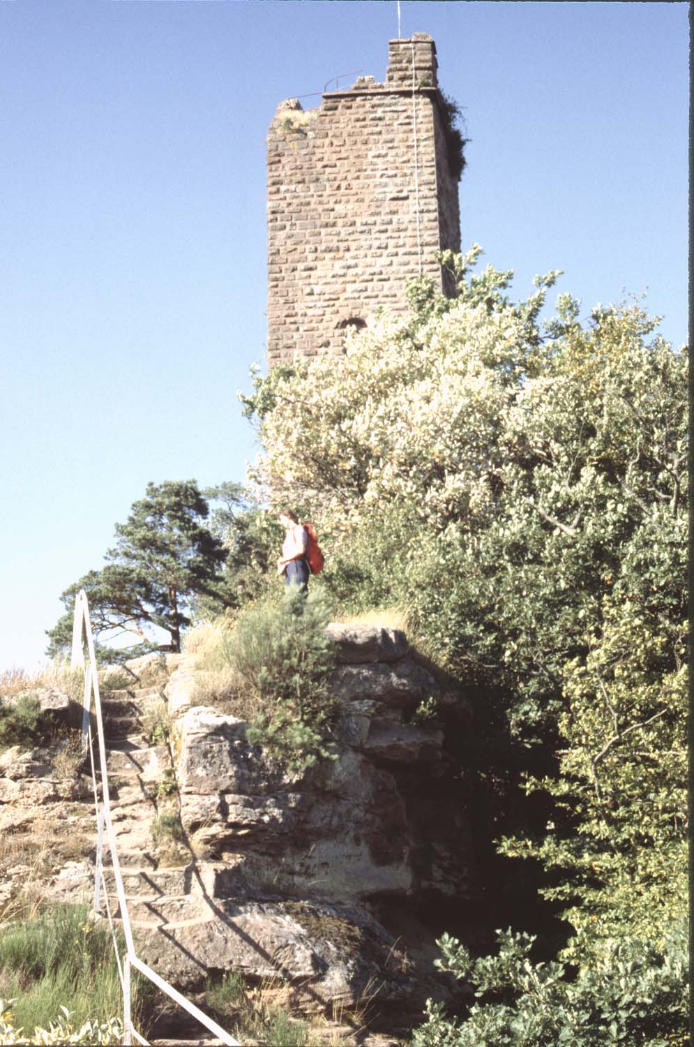 Vestiges du château, vue générale