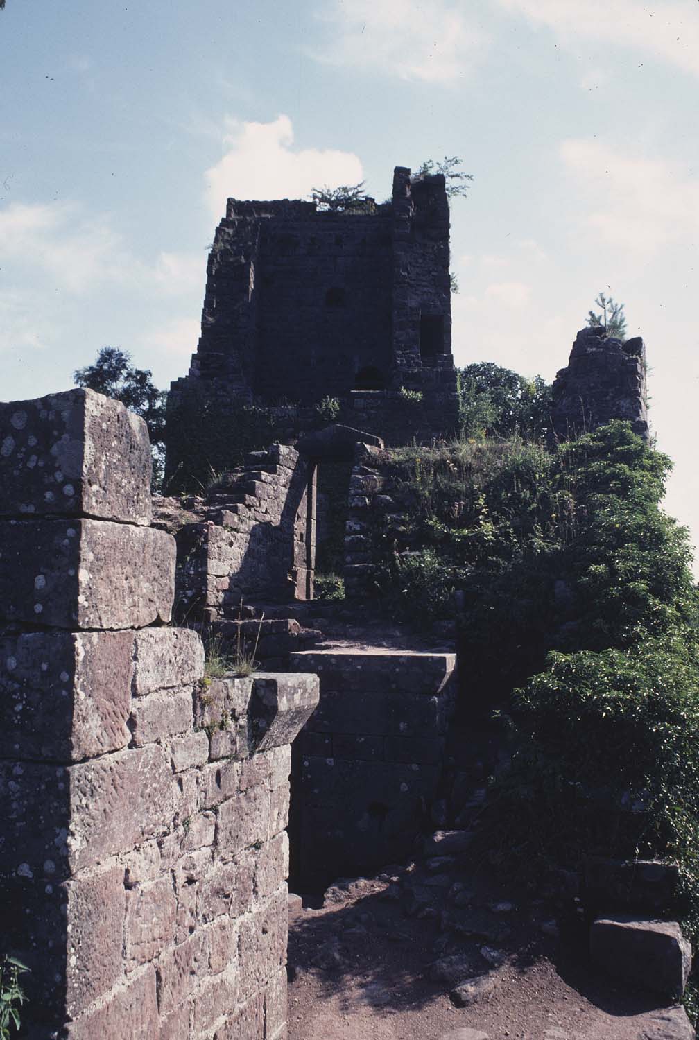 Vestiges de la tour d'habitation, vue d'ensemble