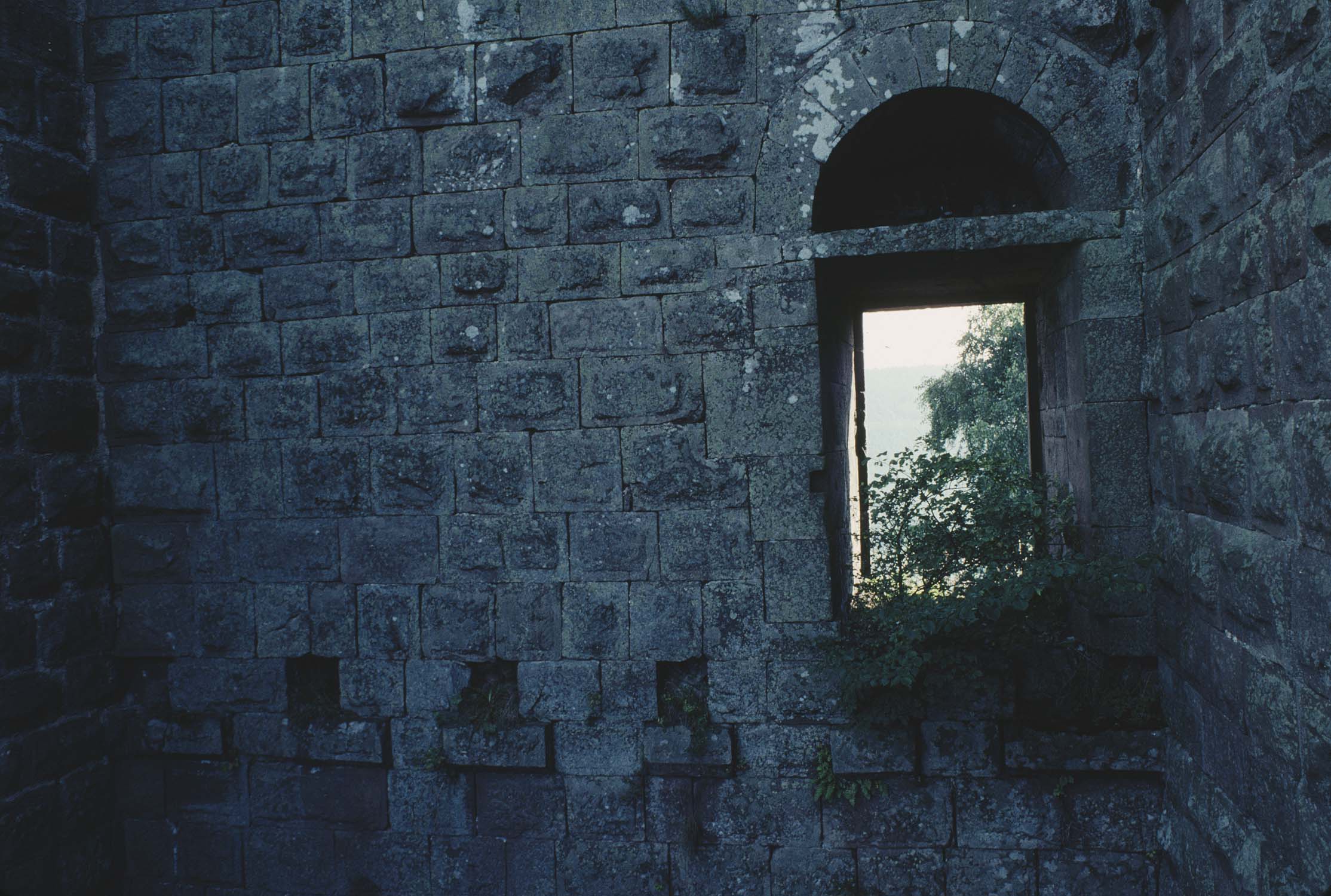 Vestige d'un donjon : porte, détail