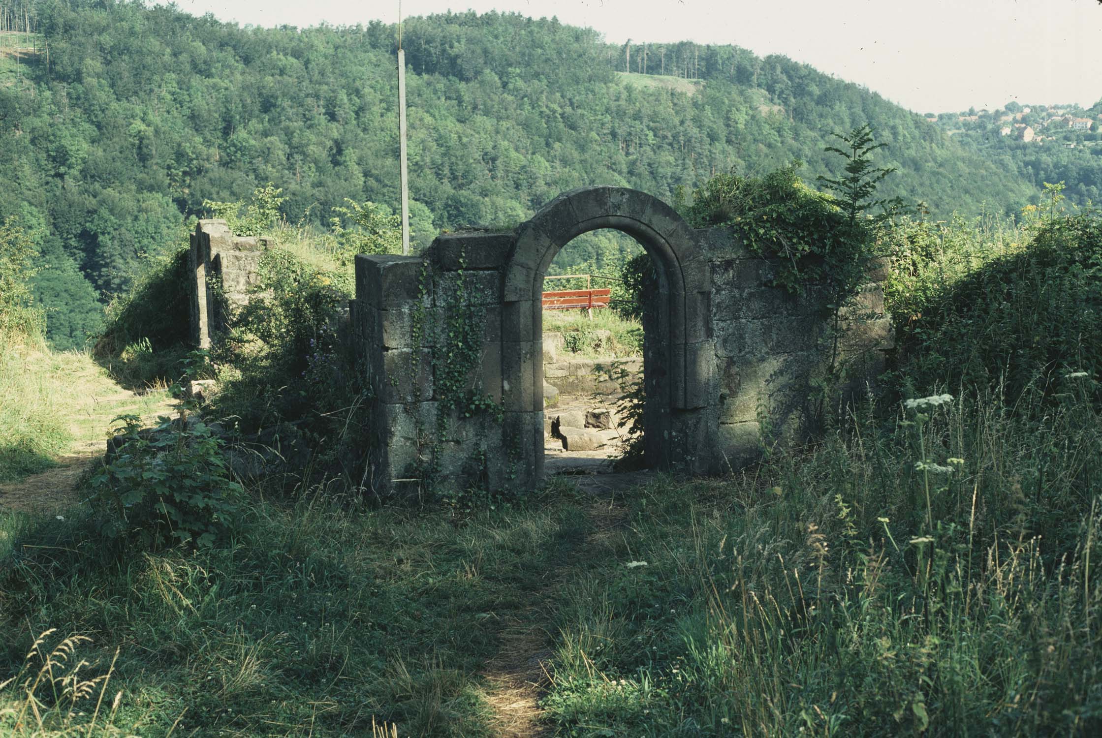 Vestiges de la poterne ouest dans la végétation, vue générale