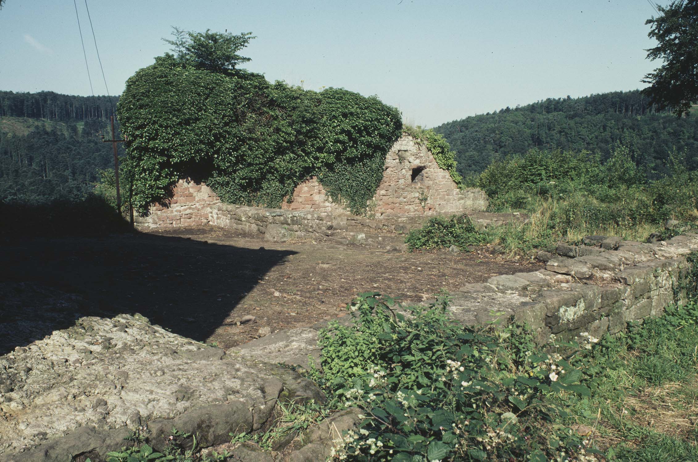 2e château : vestiges du logis envahis par la végétation, vue d'ensemble