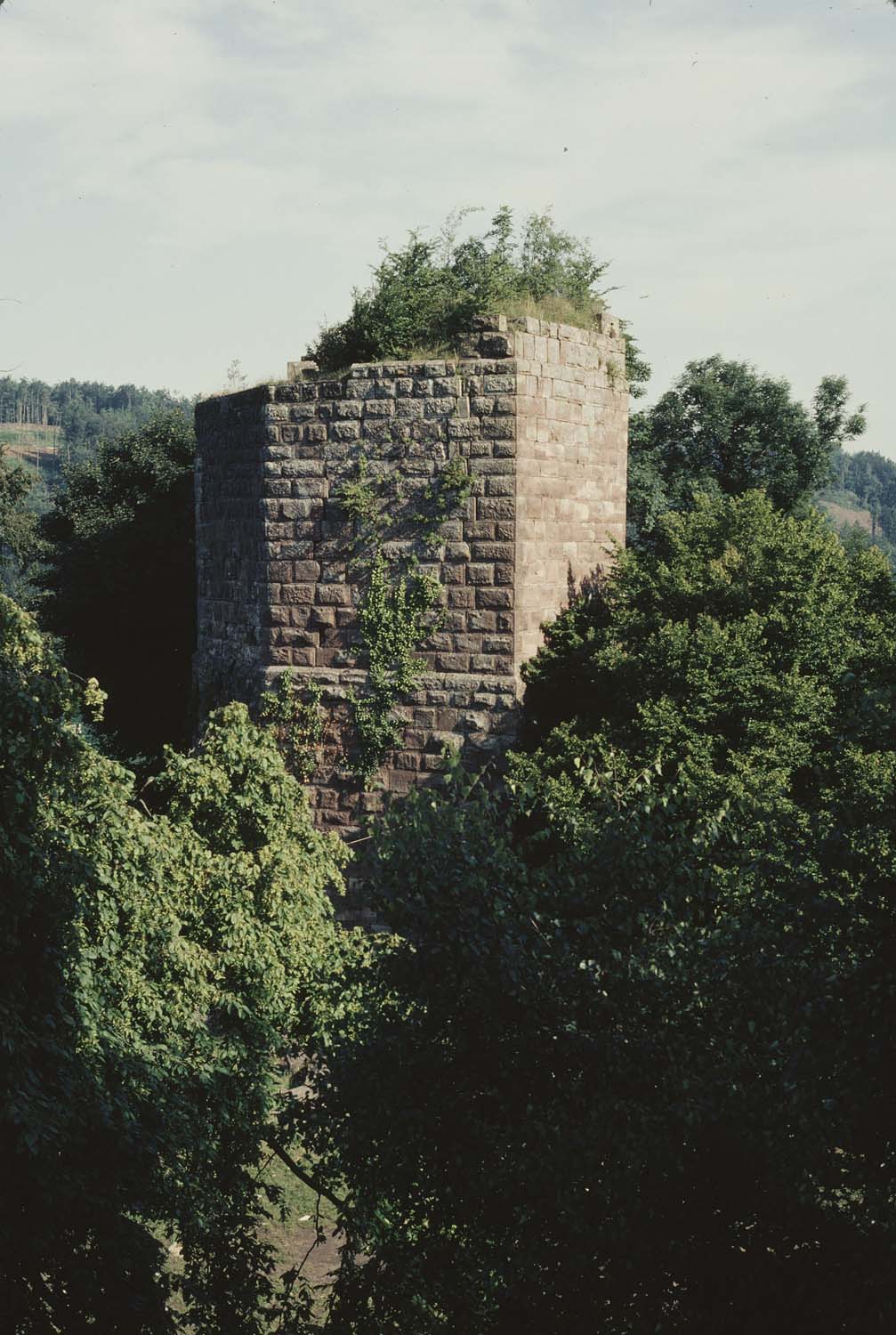 2e château : vestiges du donjon émergeant des arbres, vue à distance