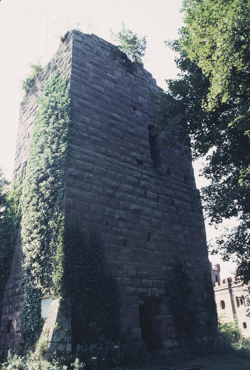 2e château : vestiges du donjon envahi par le lierre, vue générale