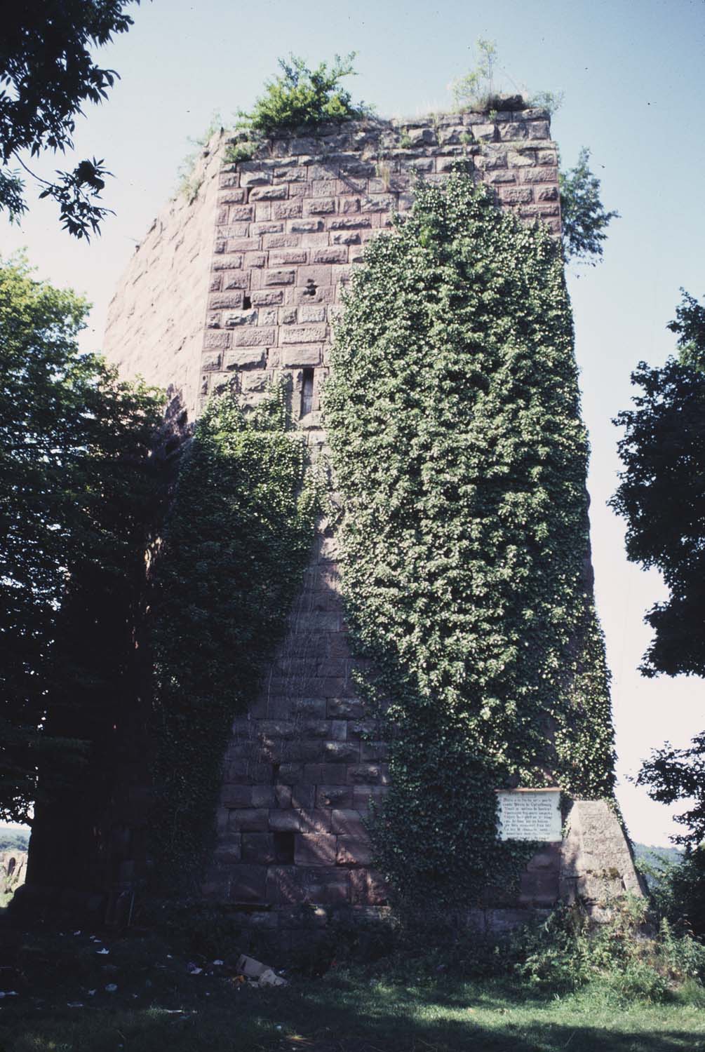 2e château : vestiges du donjon envahi par le lierre, vue générale