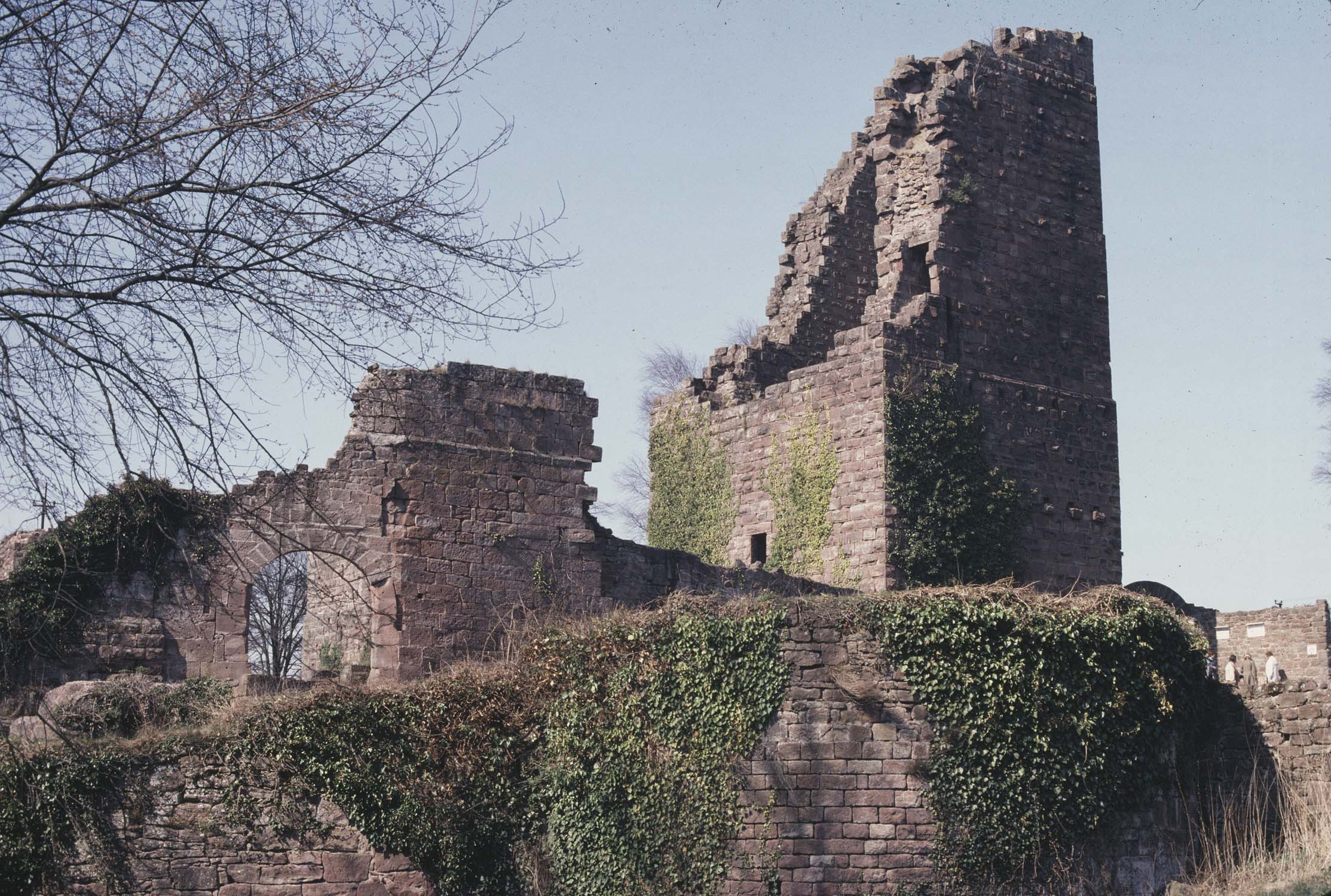 Vestiges du 1er château : donjon, vue d'ensemble