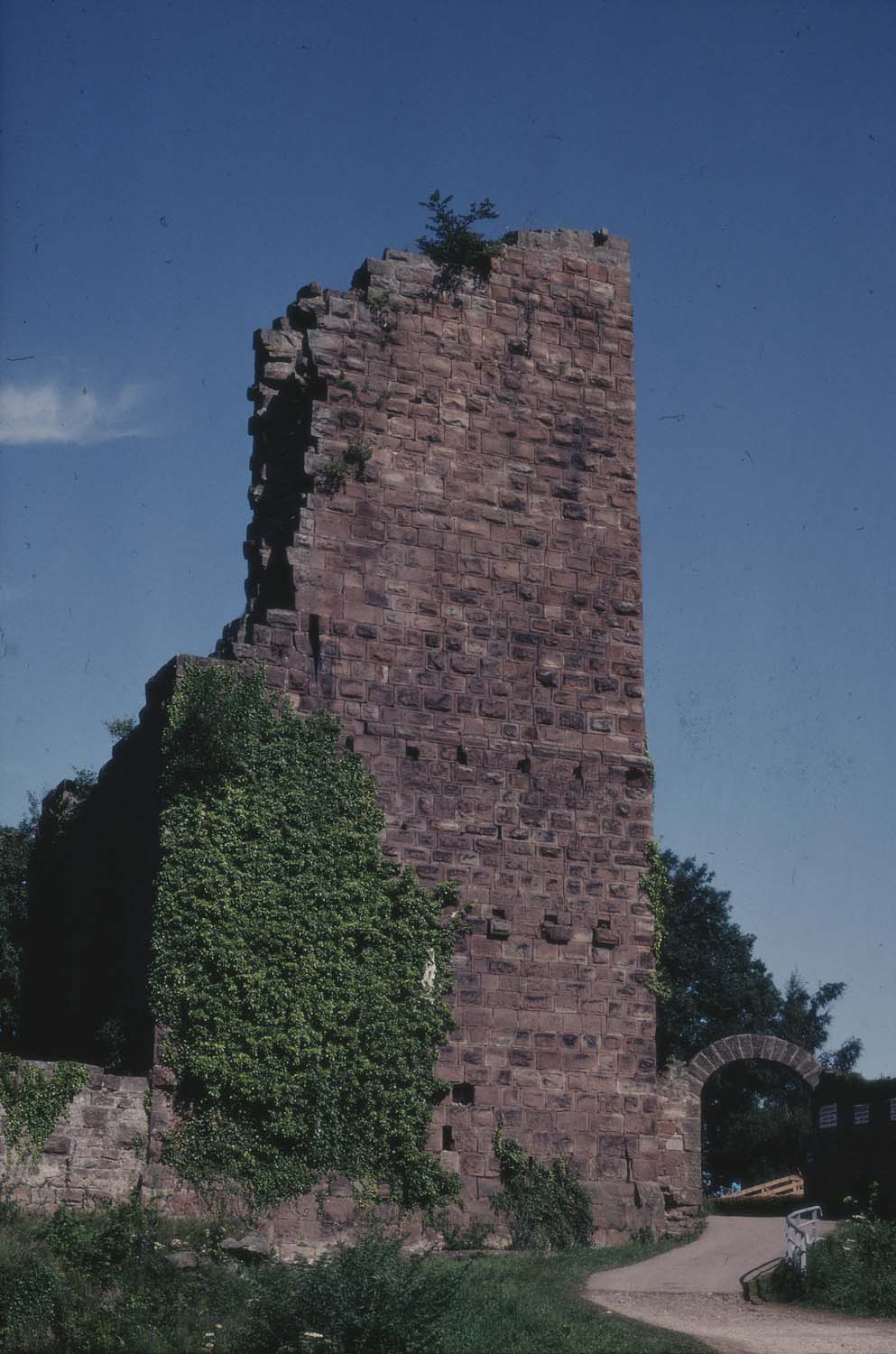 Vestiges du 1er château : donjon, vue générale