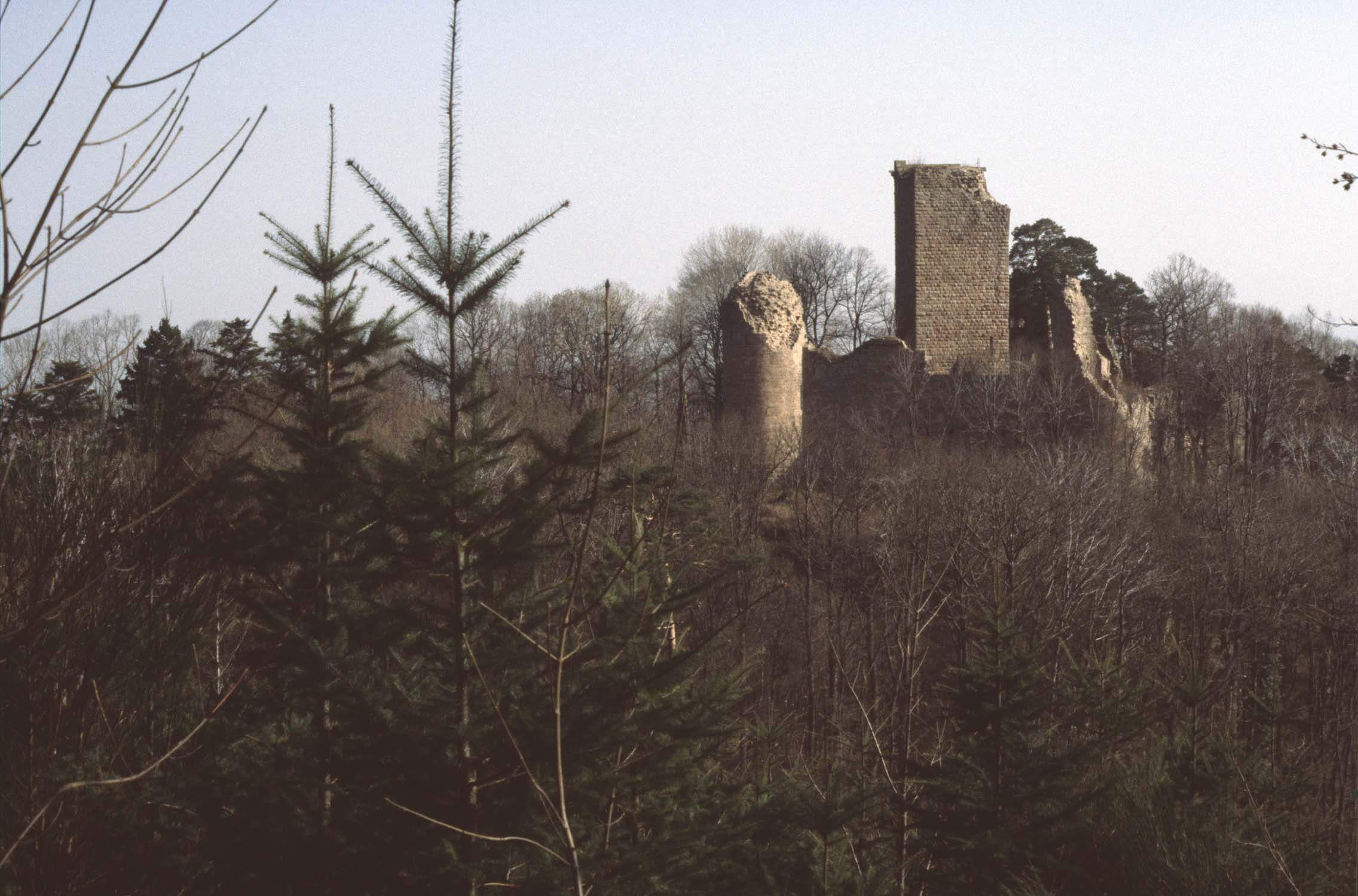 Château, vue à distance au milieu de la végétation