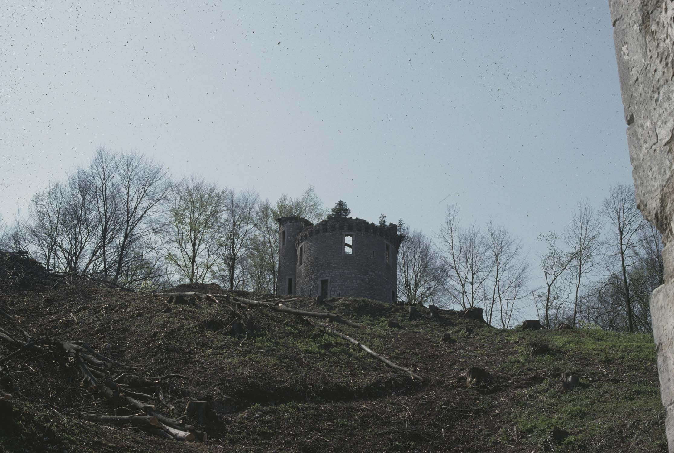 Vestiges du château, vue d'ensemble