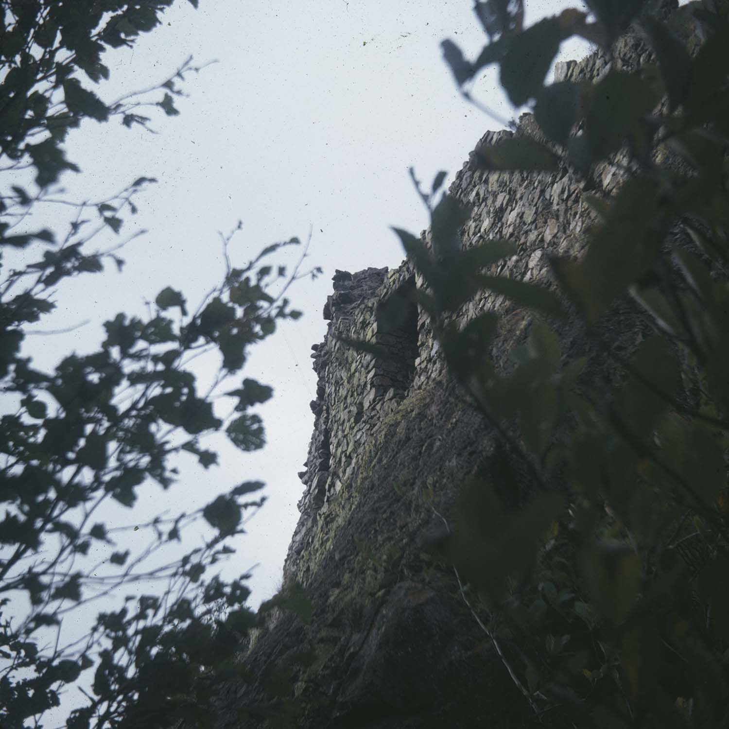 Ruines du château de Freundstein