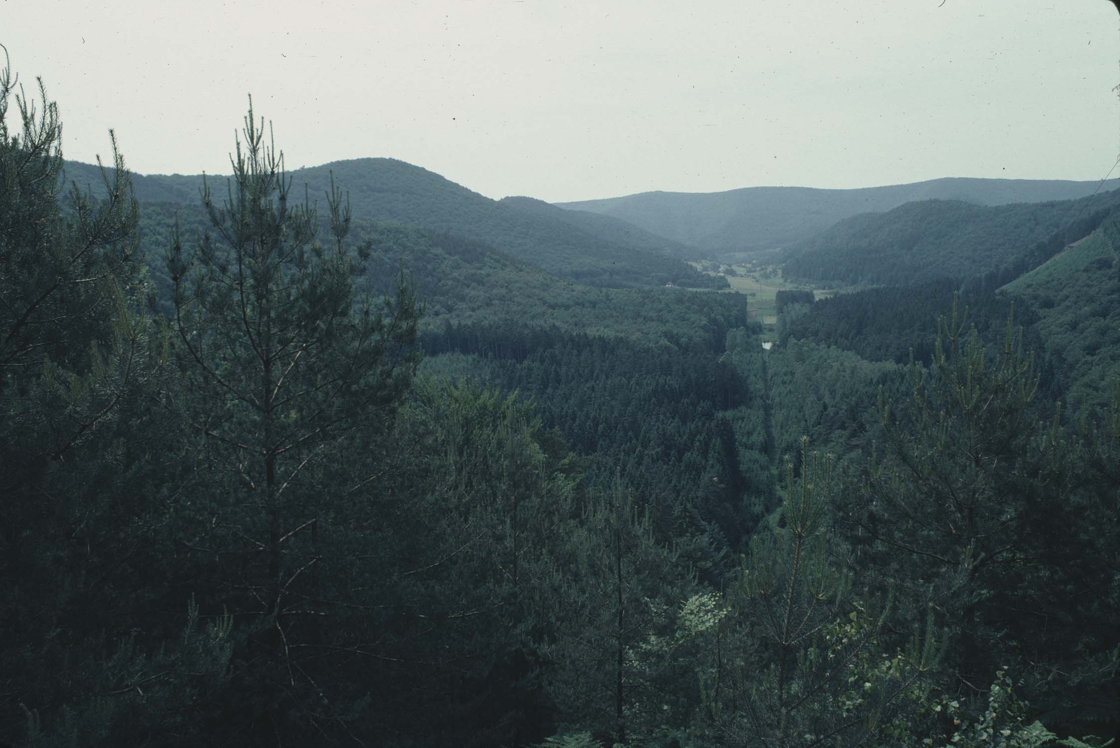 Paysage, vue depuis le château de Windeck