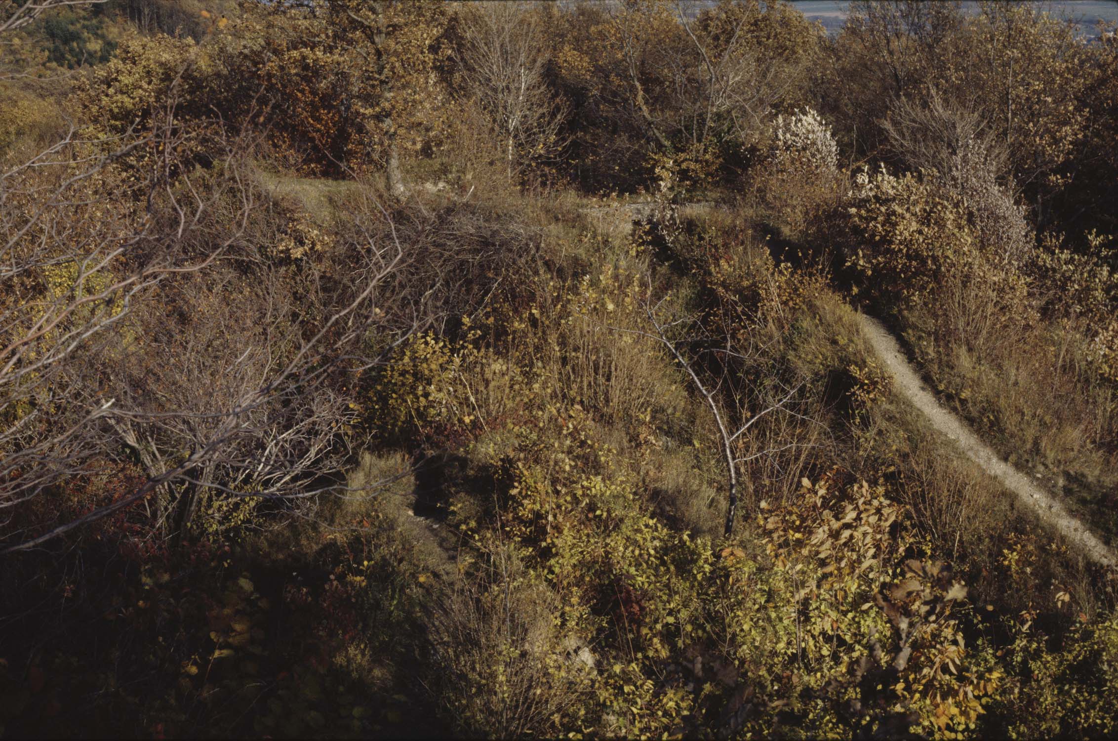 Vestiges du château, vue en plongée