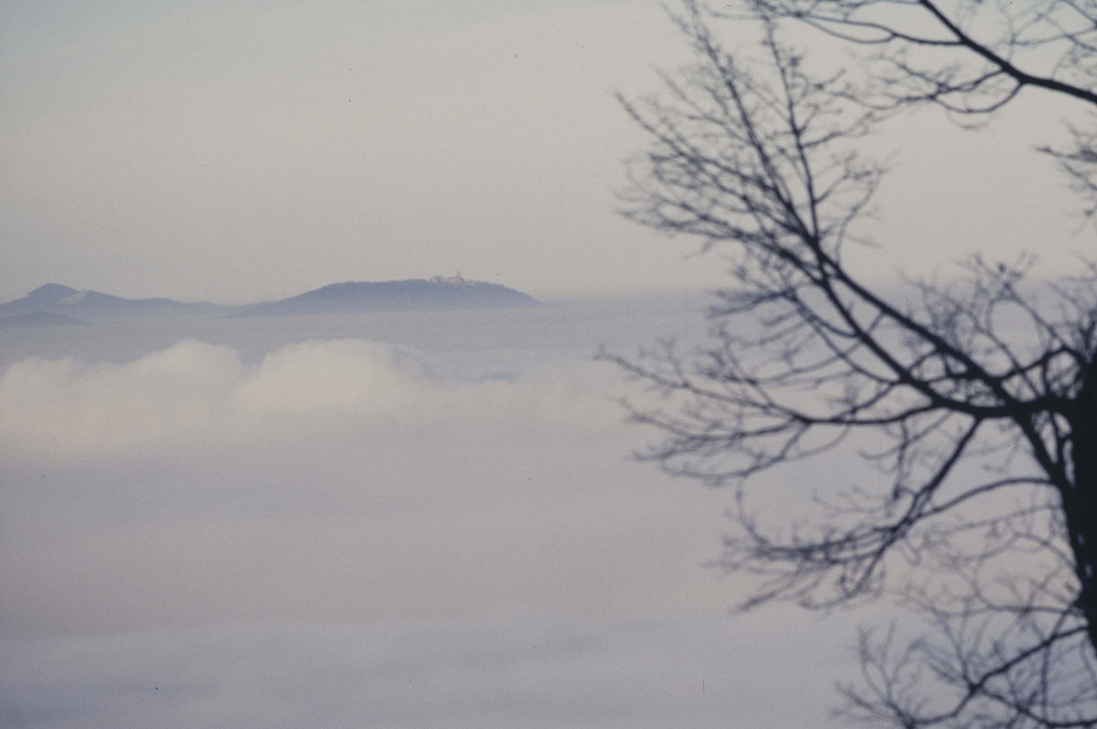 Le Haut-Koenigsbourg dans la brume, vue depuis le Hohlandsbourg